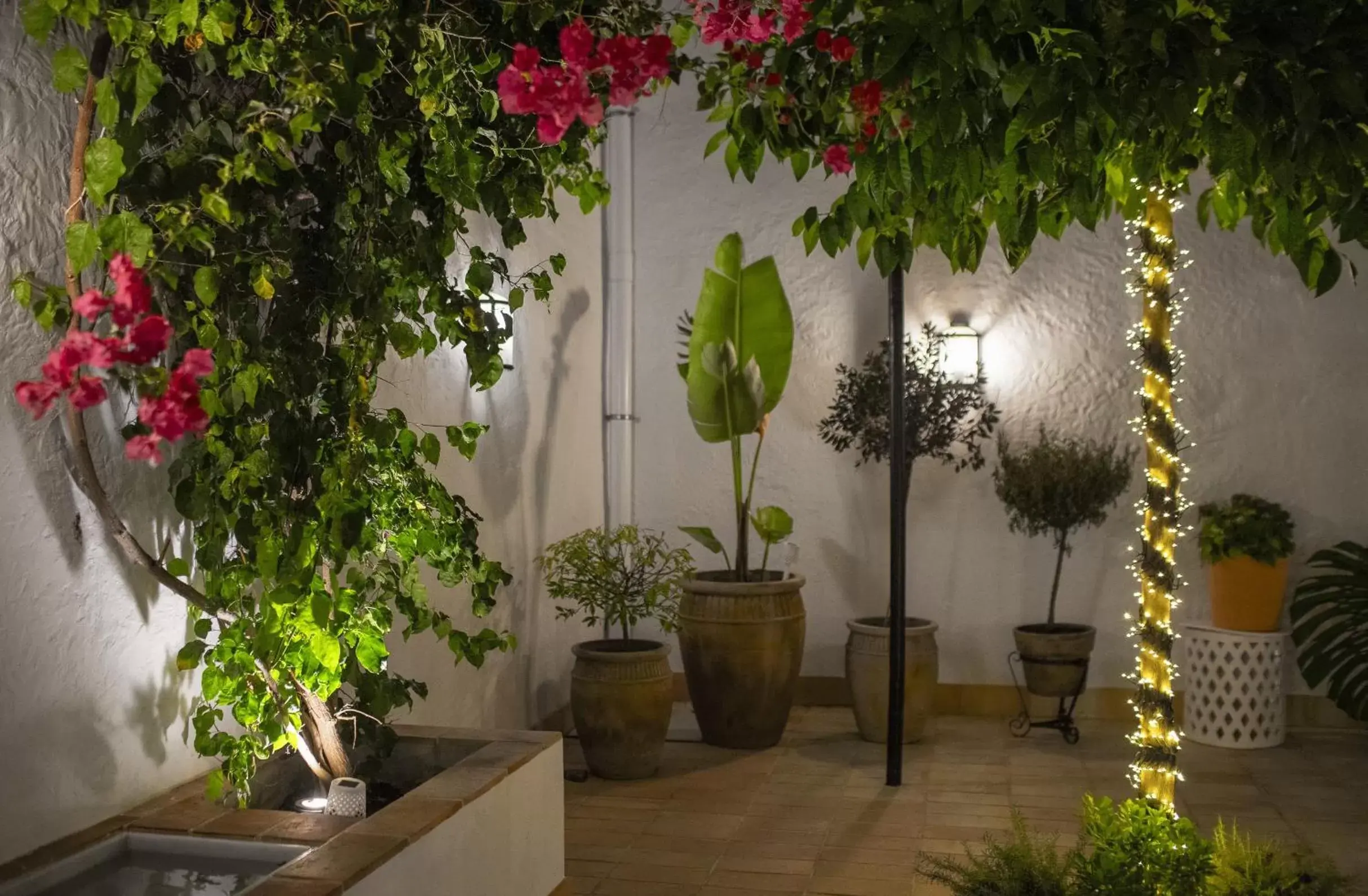 Patio in Albariza Hotel Boutique