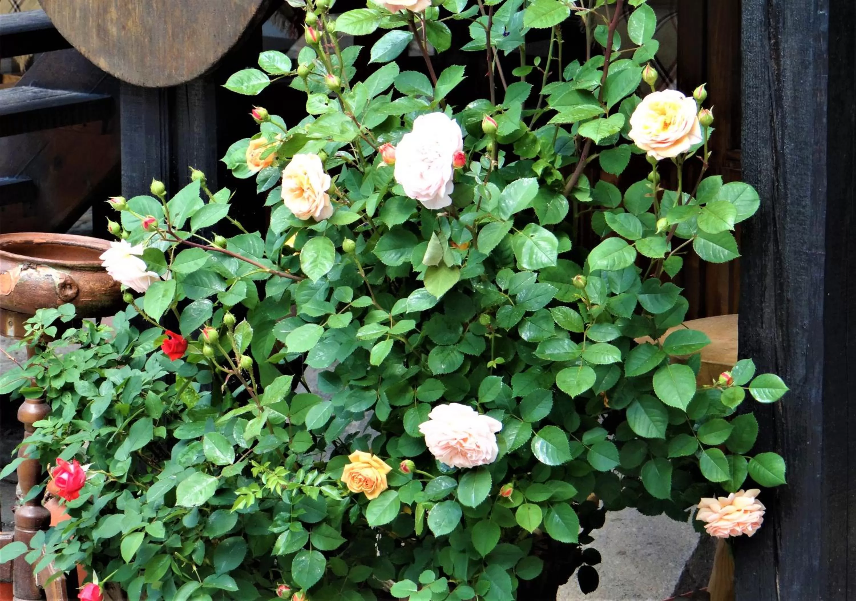 Стаи за гости The Old House