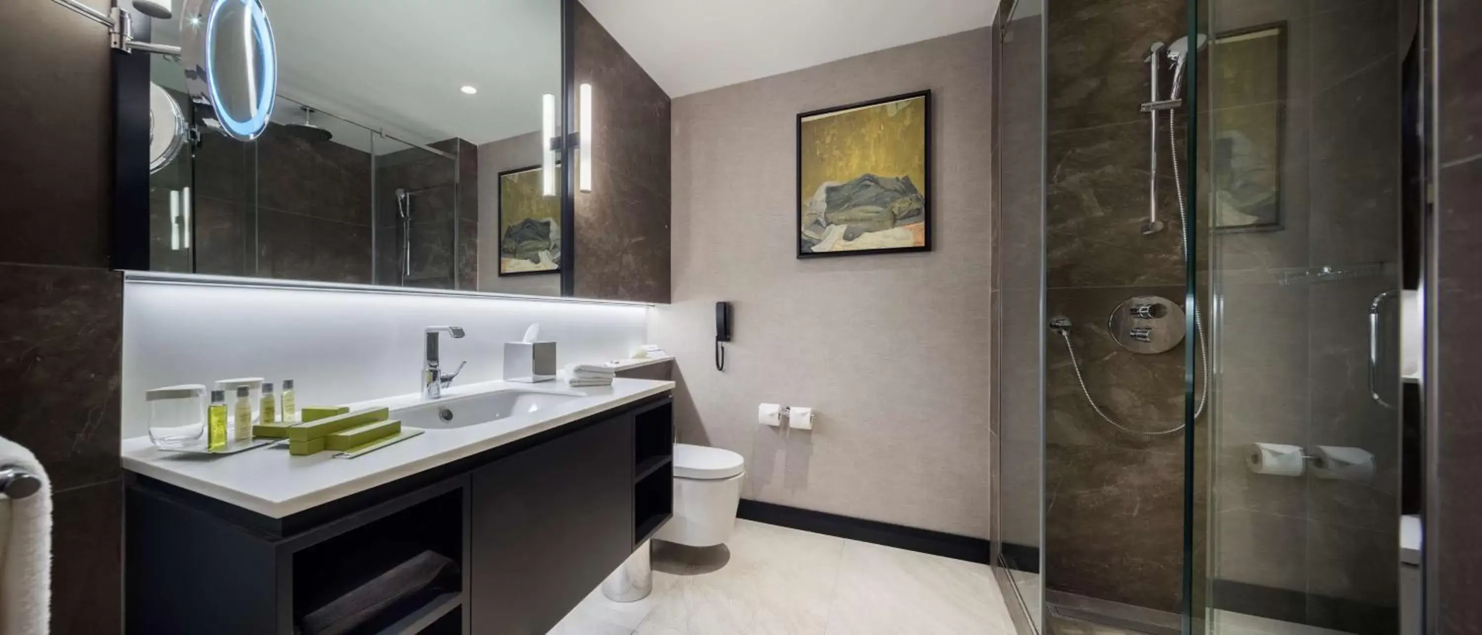 Bathroom in Hilton Istanbul Maslak