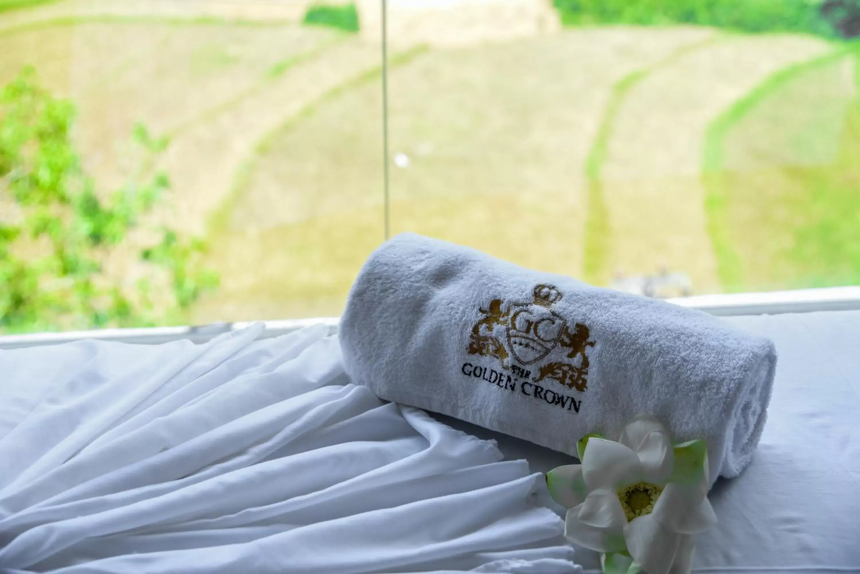 Spa and wellness centre/facilities in The Golden Crown Hotel