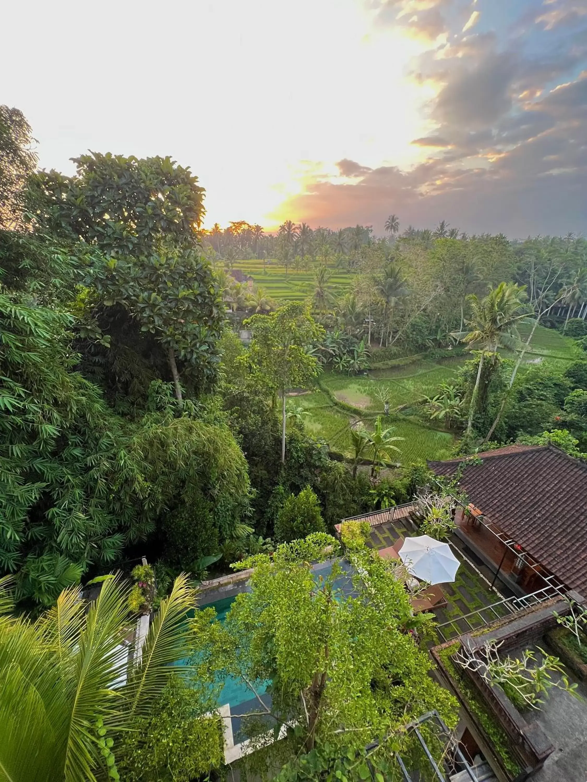 Property building in Nata Ubud Property building in Nata Ubud