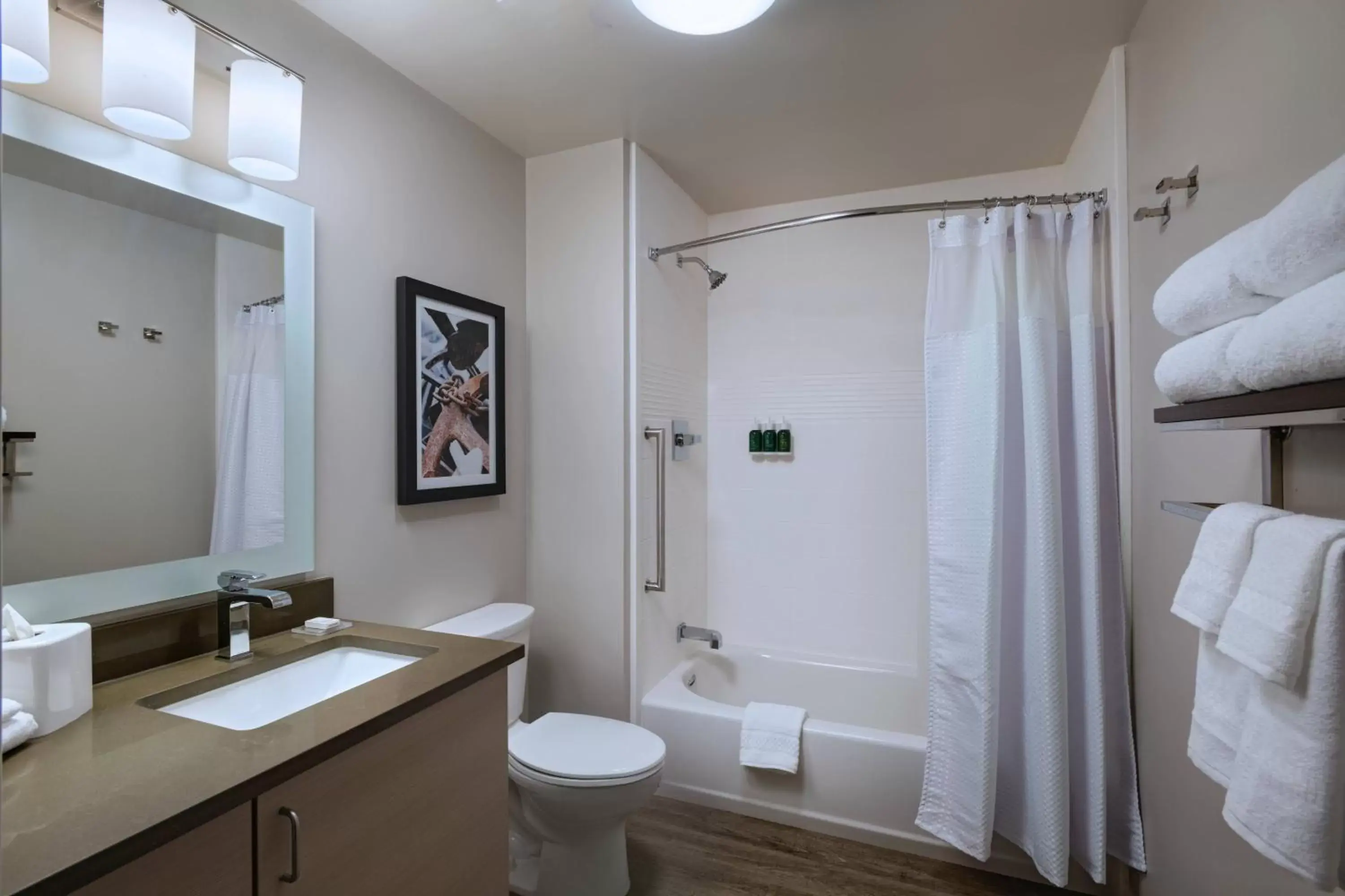 Bathroom in TownePlace Suites by Marriott San Diego Airport/Liberty Station