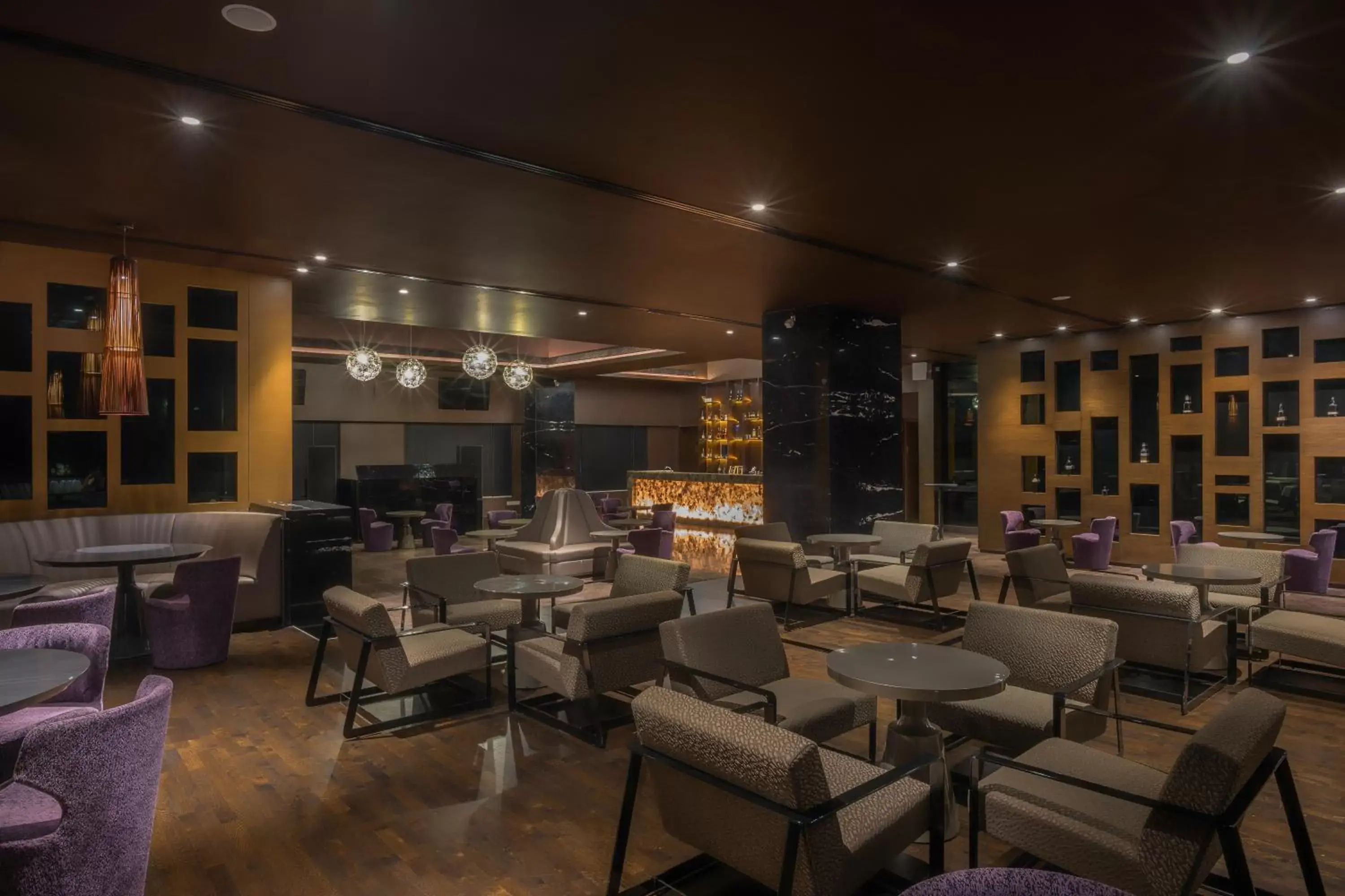 Alcoholic drinks, Lounge/Bar in Feathers- A Radha Hotel, Chennai