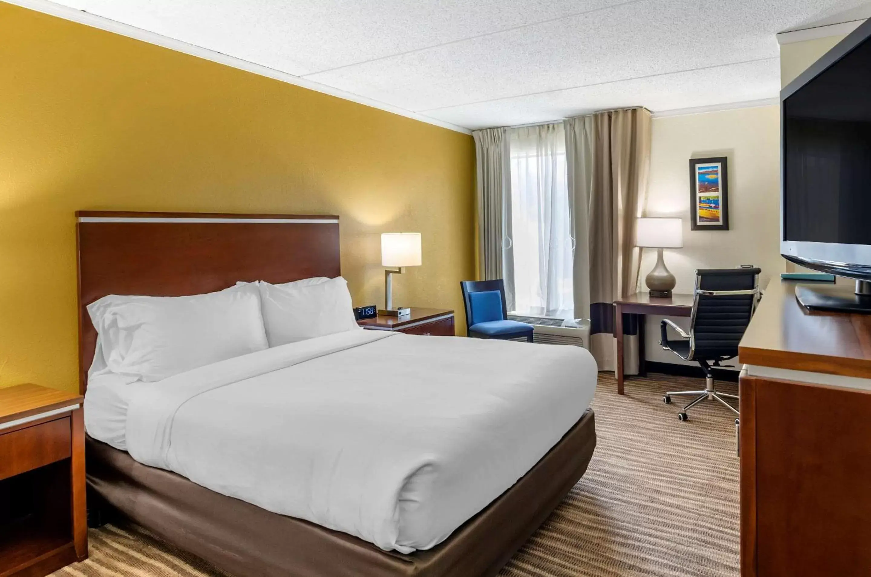 Photo of the whole room, Bed in Comfort Inn Roanoke Civic Center