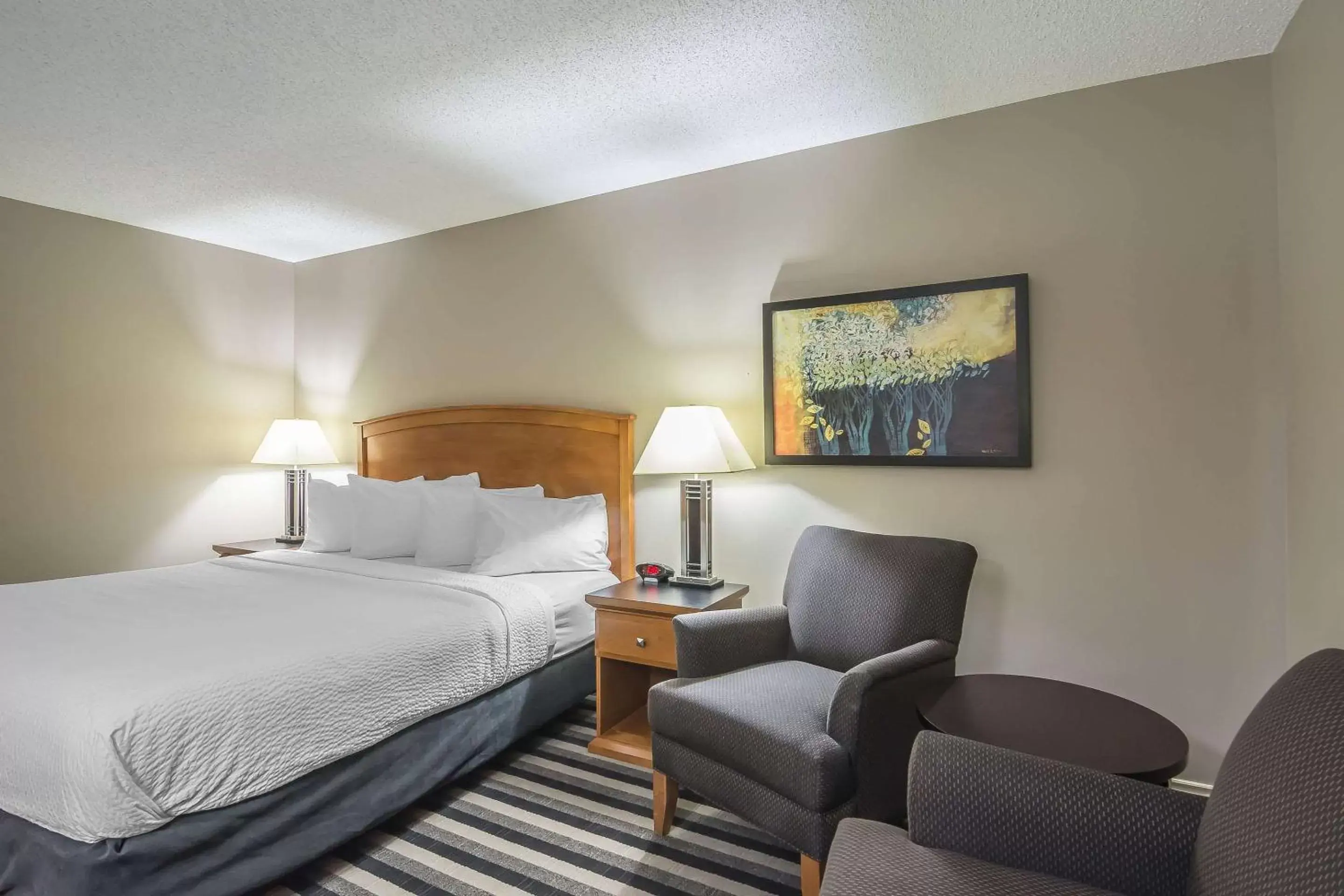 Photo of the whole room, Bed in Quality Inn West Edmonton