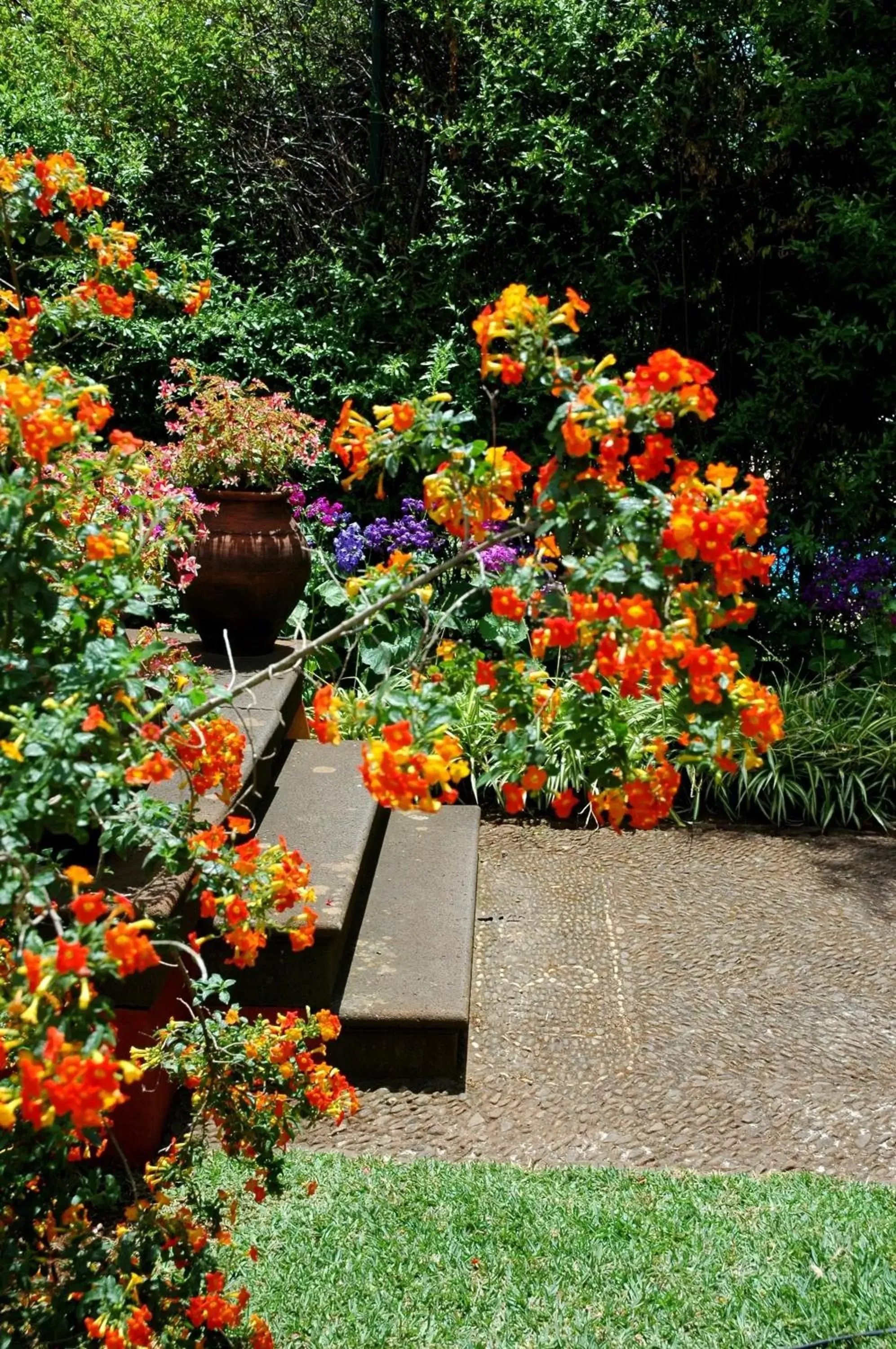 Garden in Quinta da Bela Vista