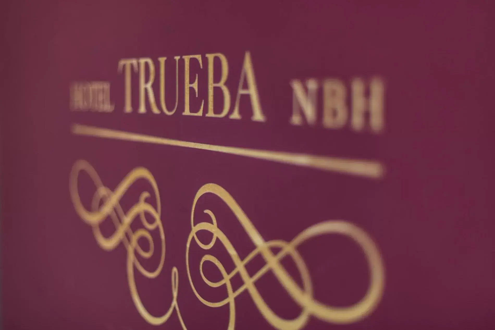 Property logo or sign in Hotel Trueba