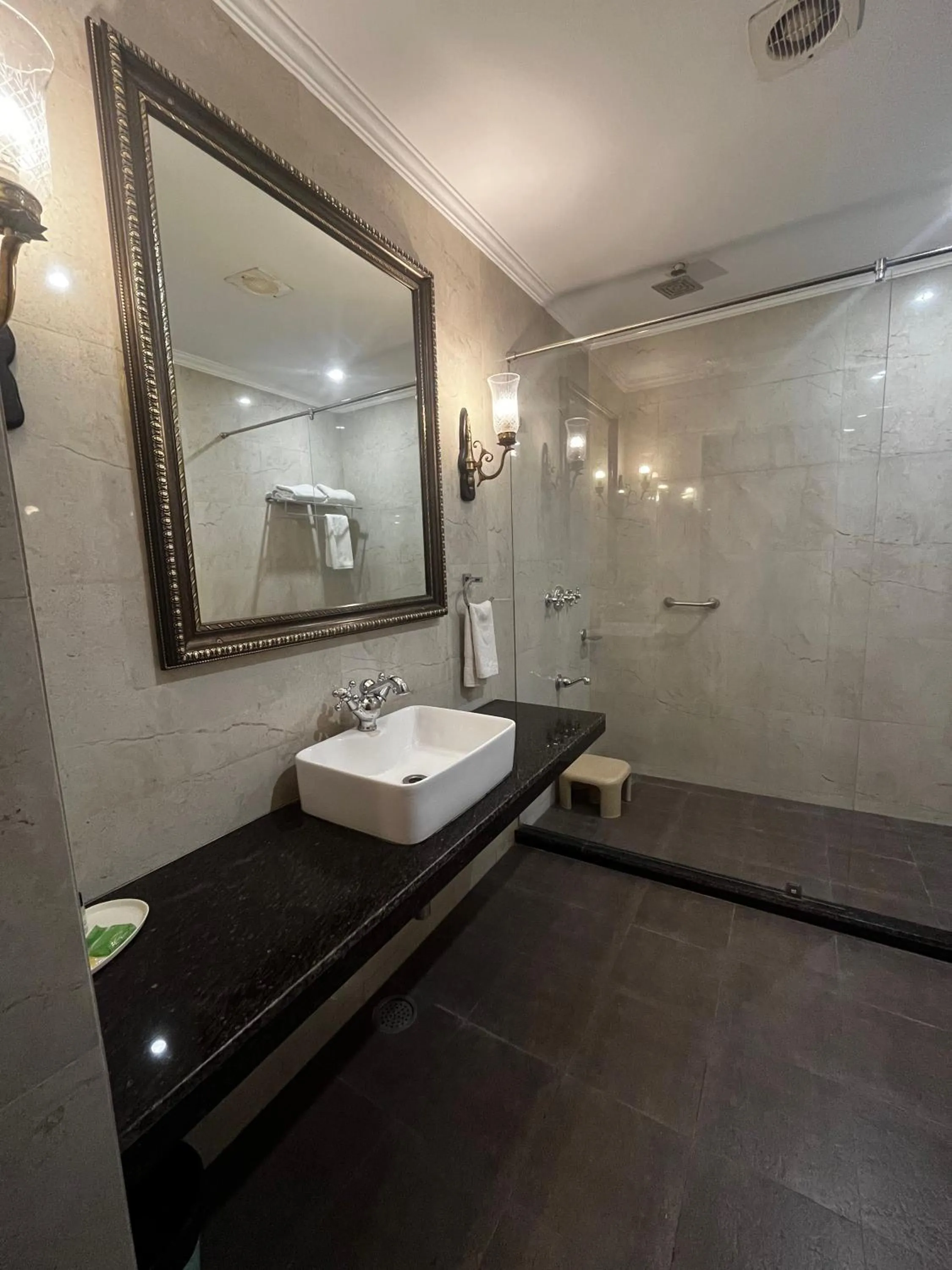 Bathroom in Ratnawali – A Vegetarian Heritage Hotel