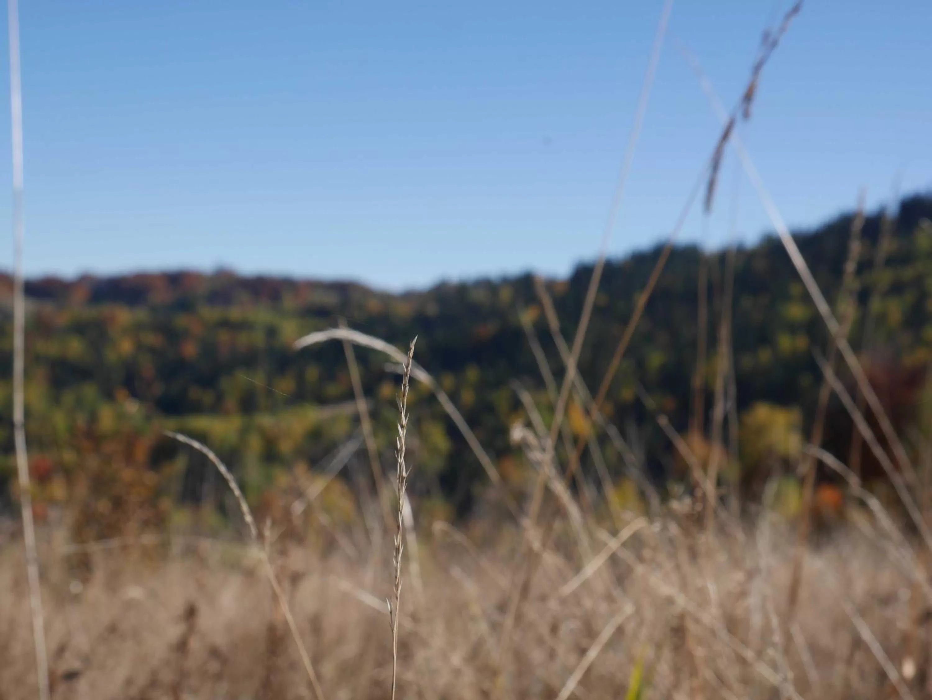 Autumn in Hotel Żywiecki Medical SPA & Sport Żywiec