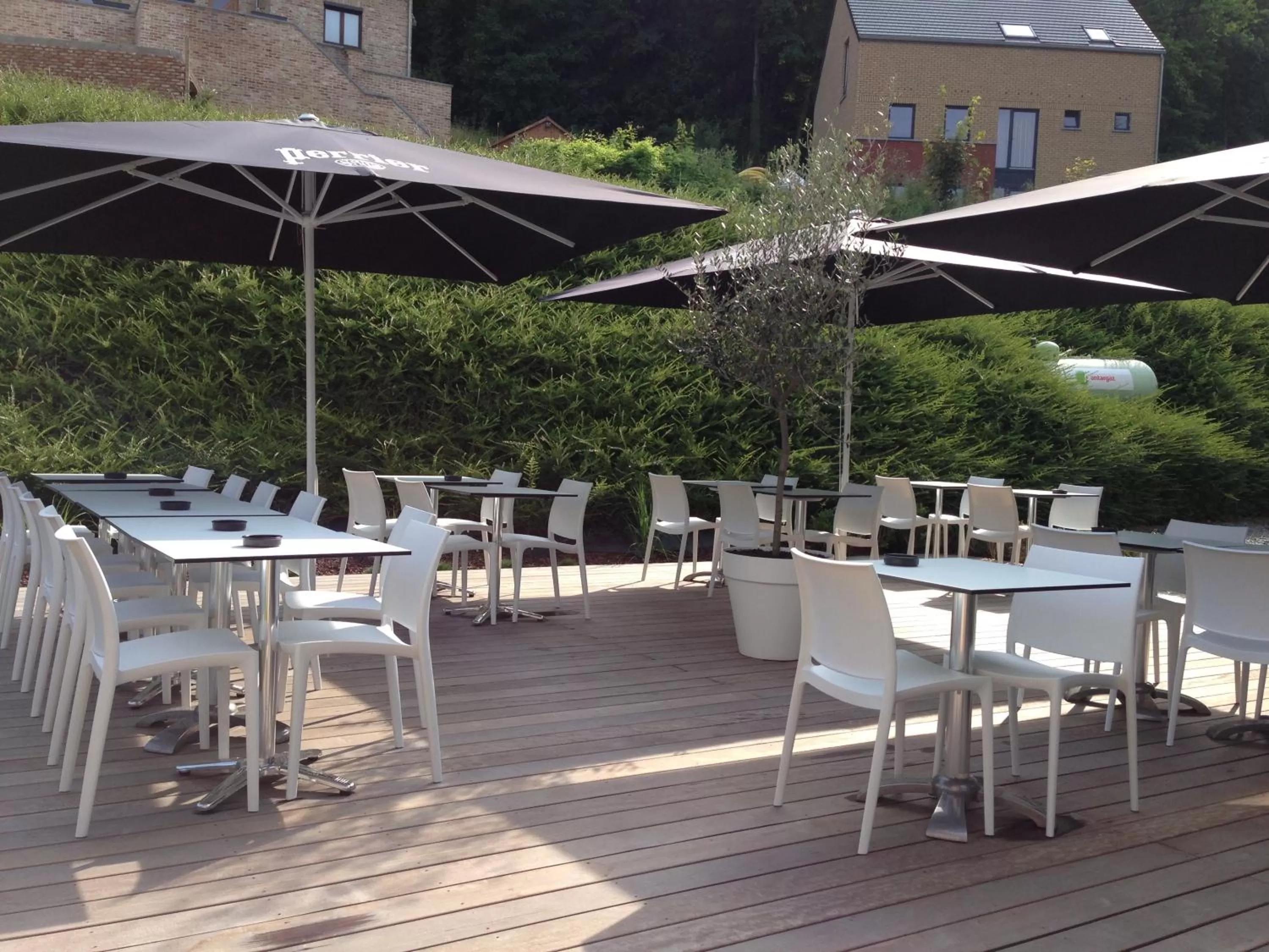 Restaurant/places to eat in New Hotel de Lives