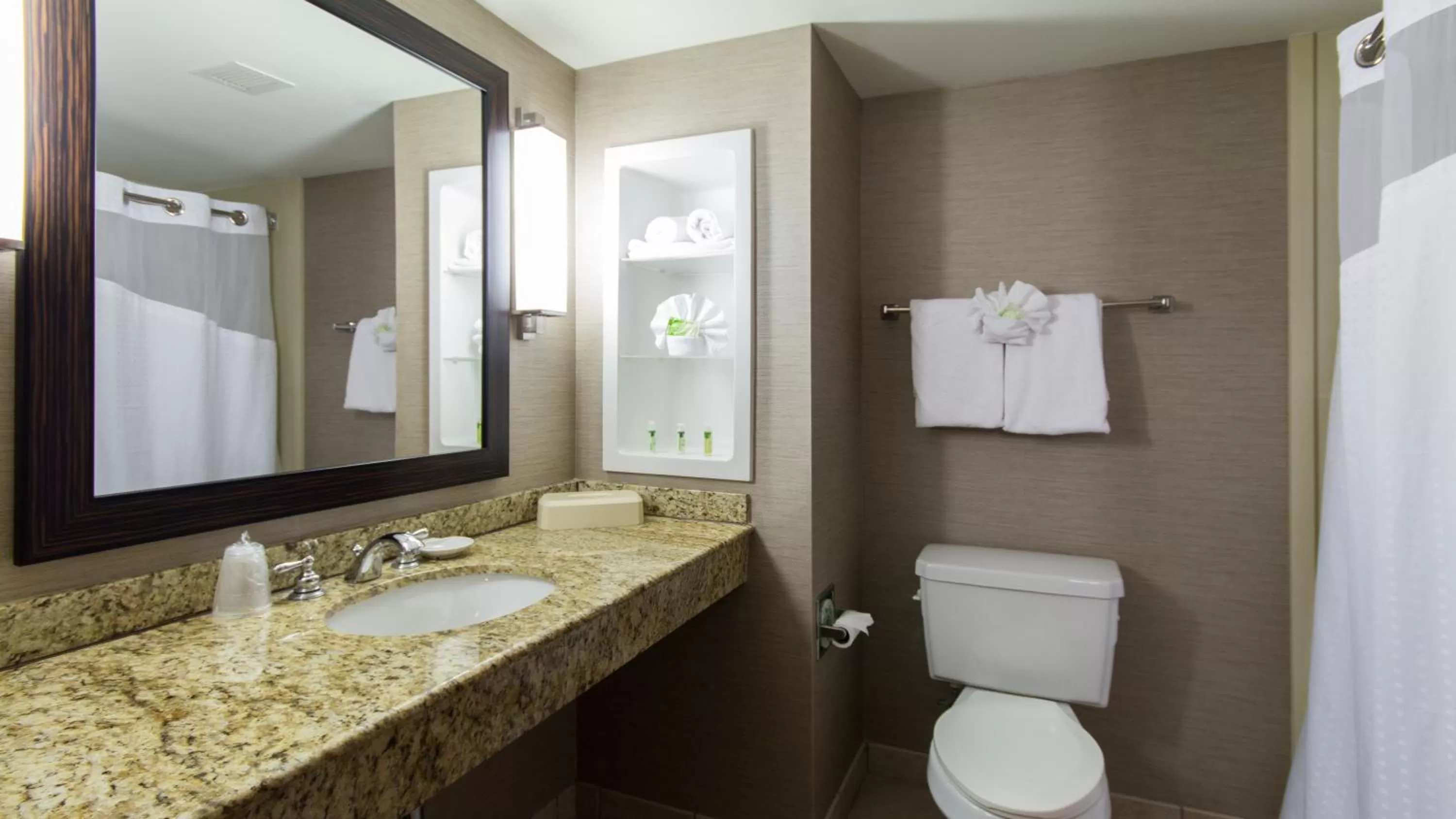Bathroom in Holiday Inn Express Hotel & Suites Auburn by IHG