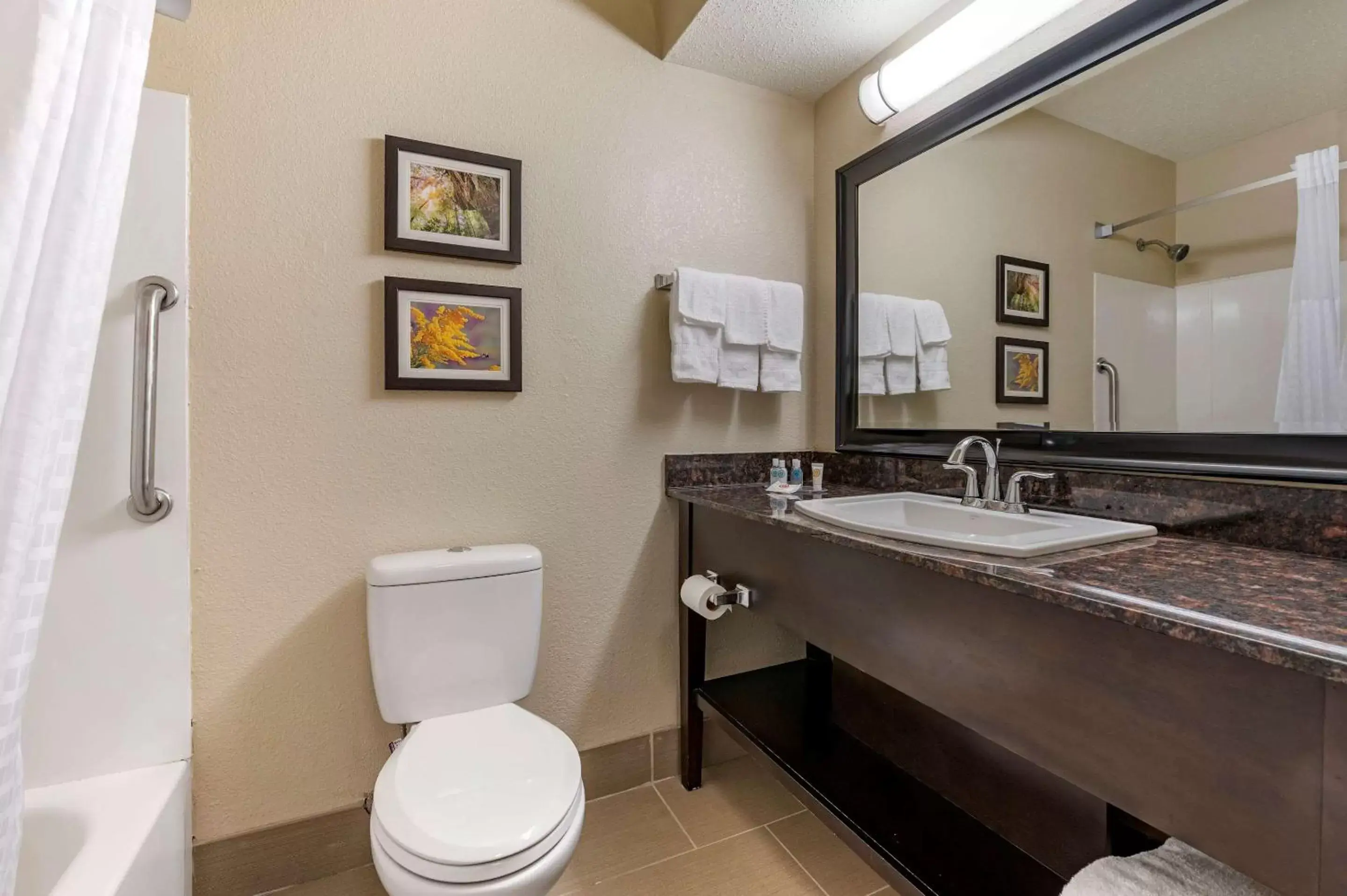 Bathroom in Comfort Inn Cincinnati Airport Turfway Road