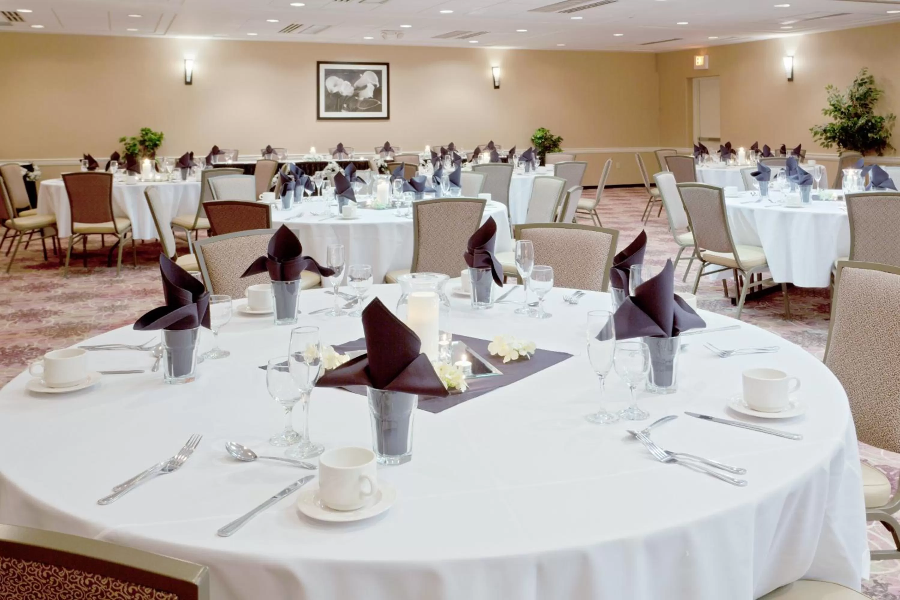 Banquet/Function facilities in Armoni Inn & Suites