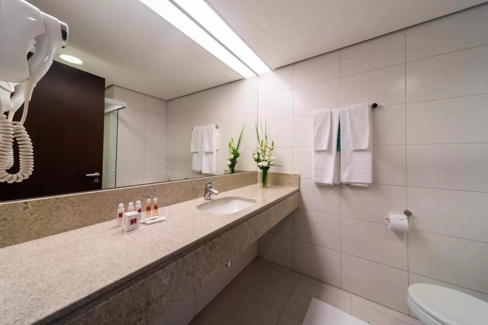 Bathroom in Hotel Panamby São Paulo