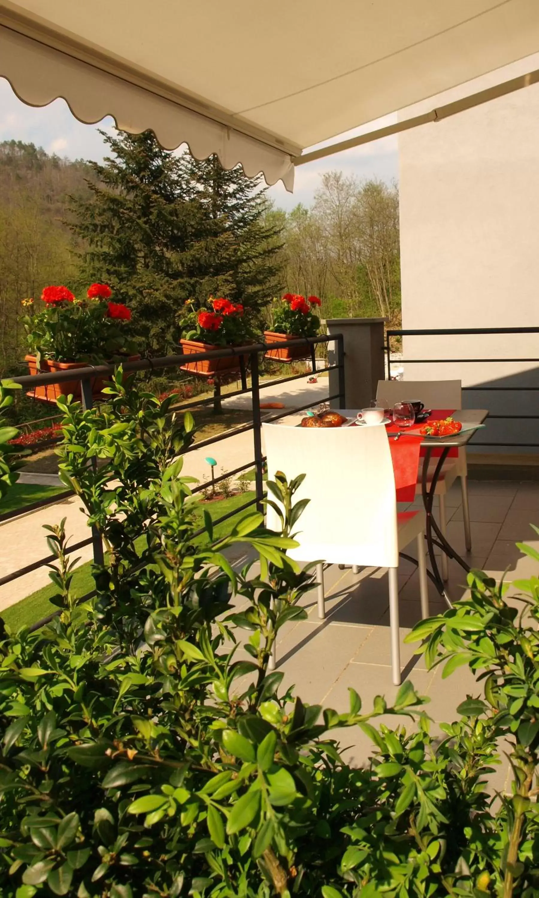 Balcony/Terrace in Hotel Abetaia