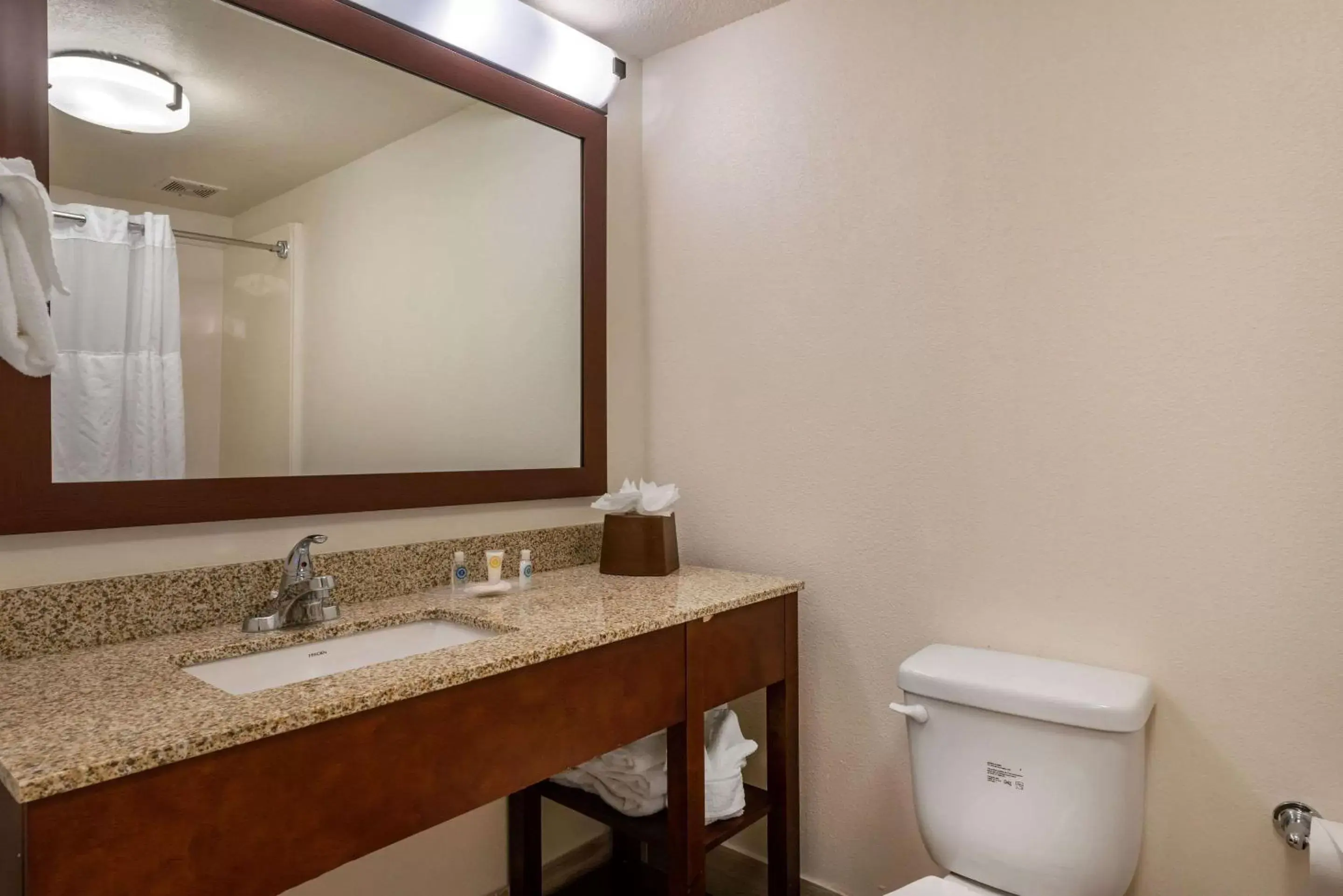 Photo of the whole room, Bathroom in Comfort Suites Downtown