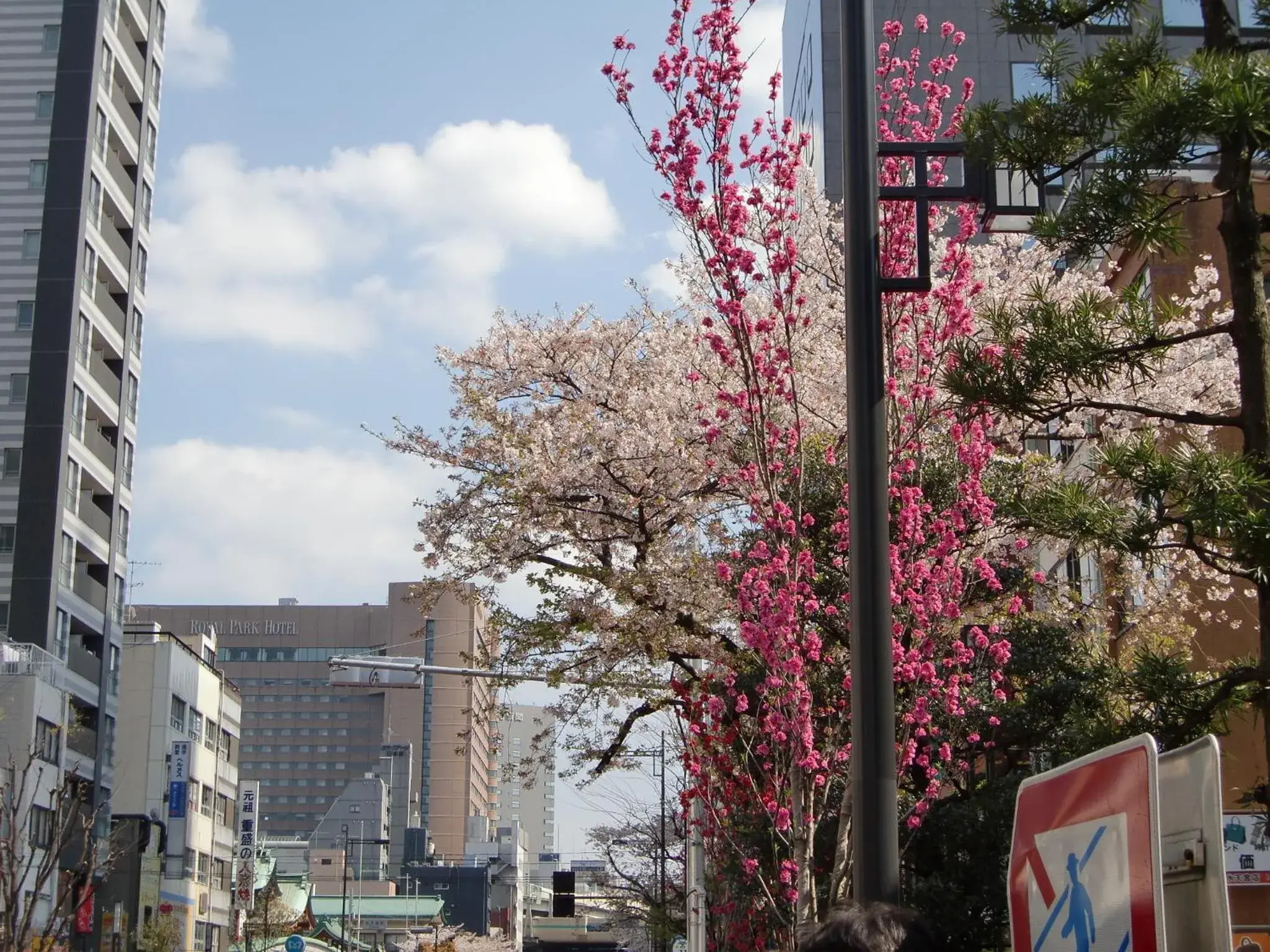 Spring in Nishitetsu Inn Nihonbashi