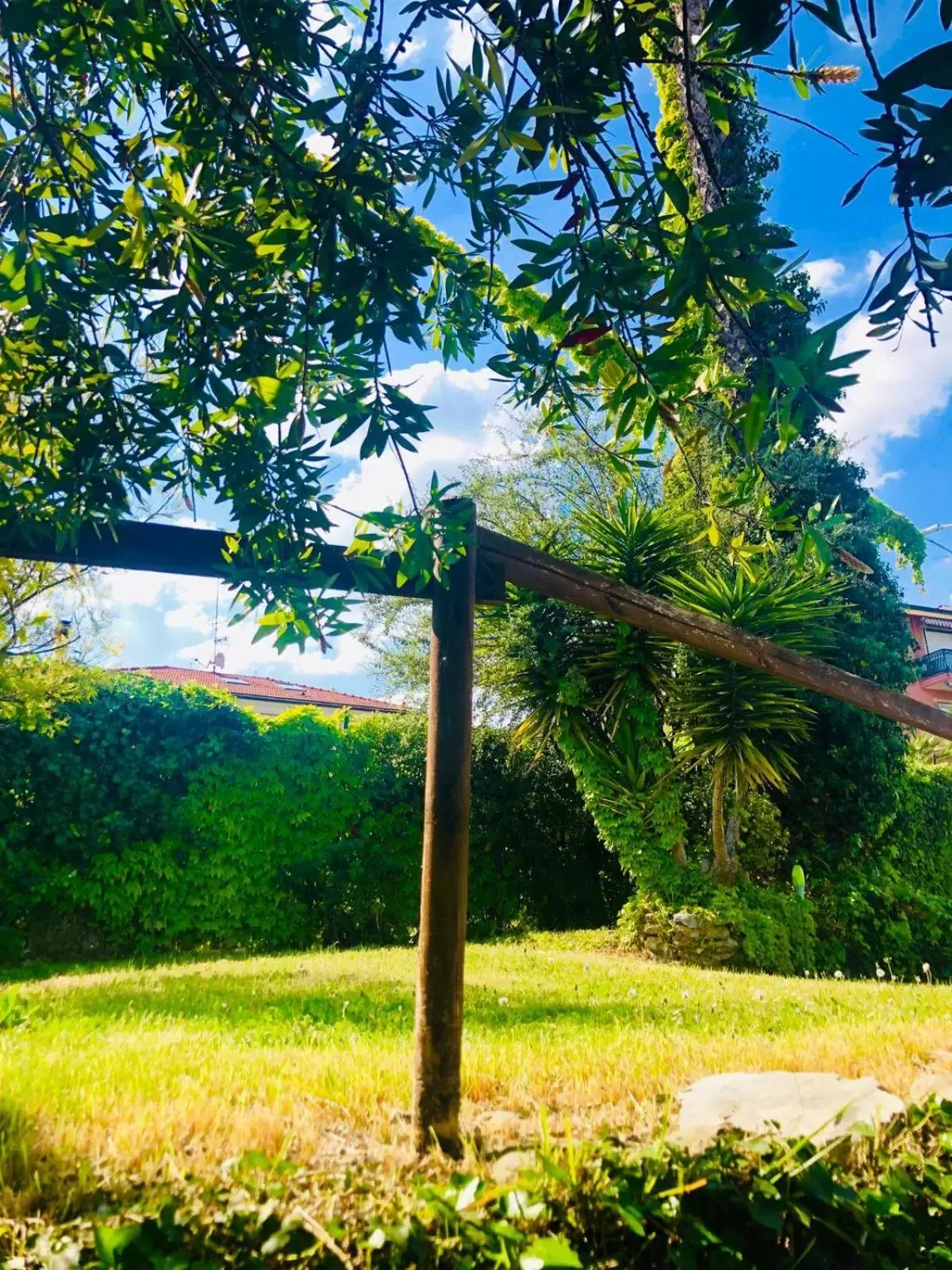 Garden in Hotel Bellavista