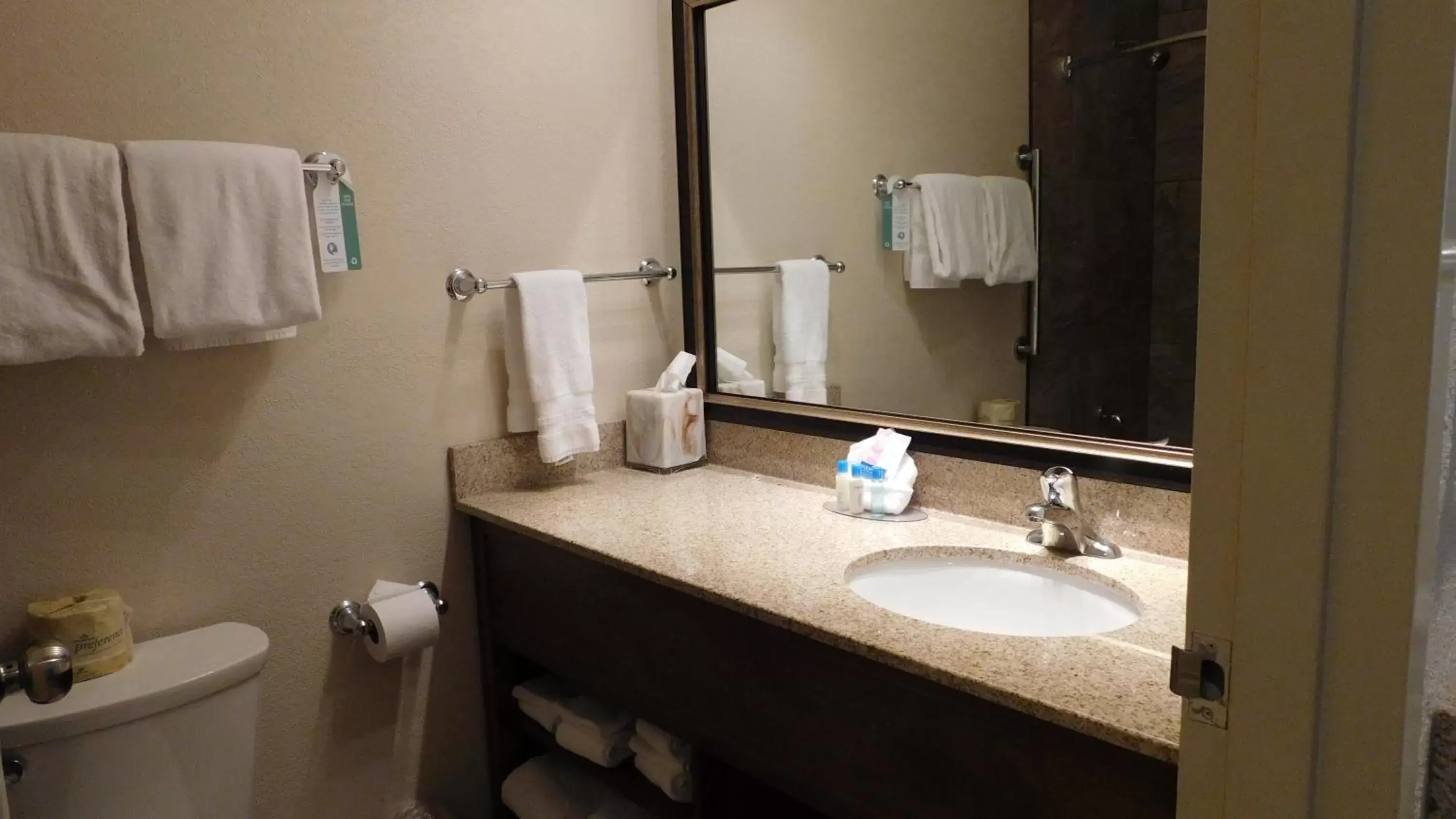 Bathroom in Best Western Plus Ramkota Hotel