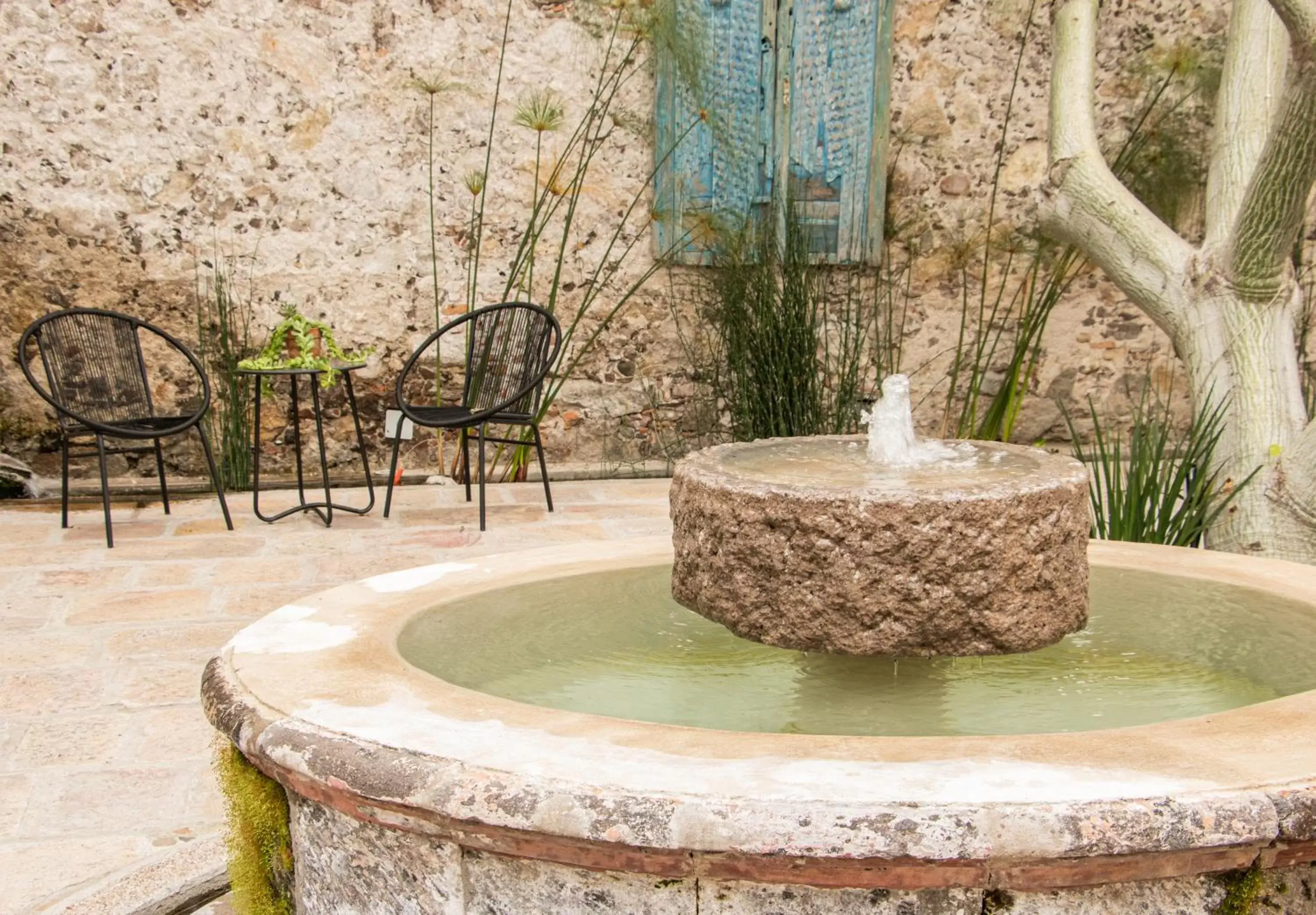 Patio in Orchid House San Miguel de Allende