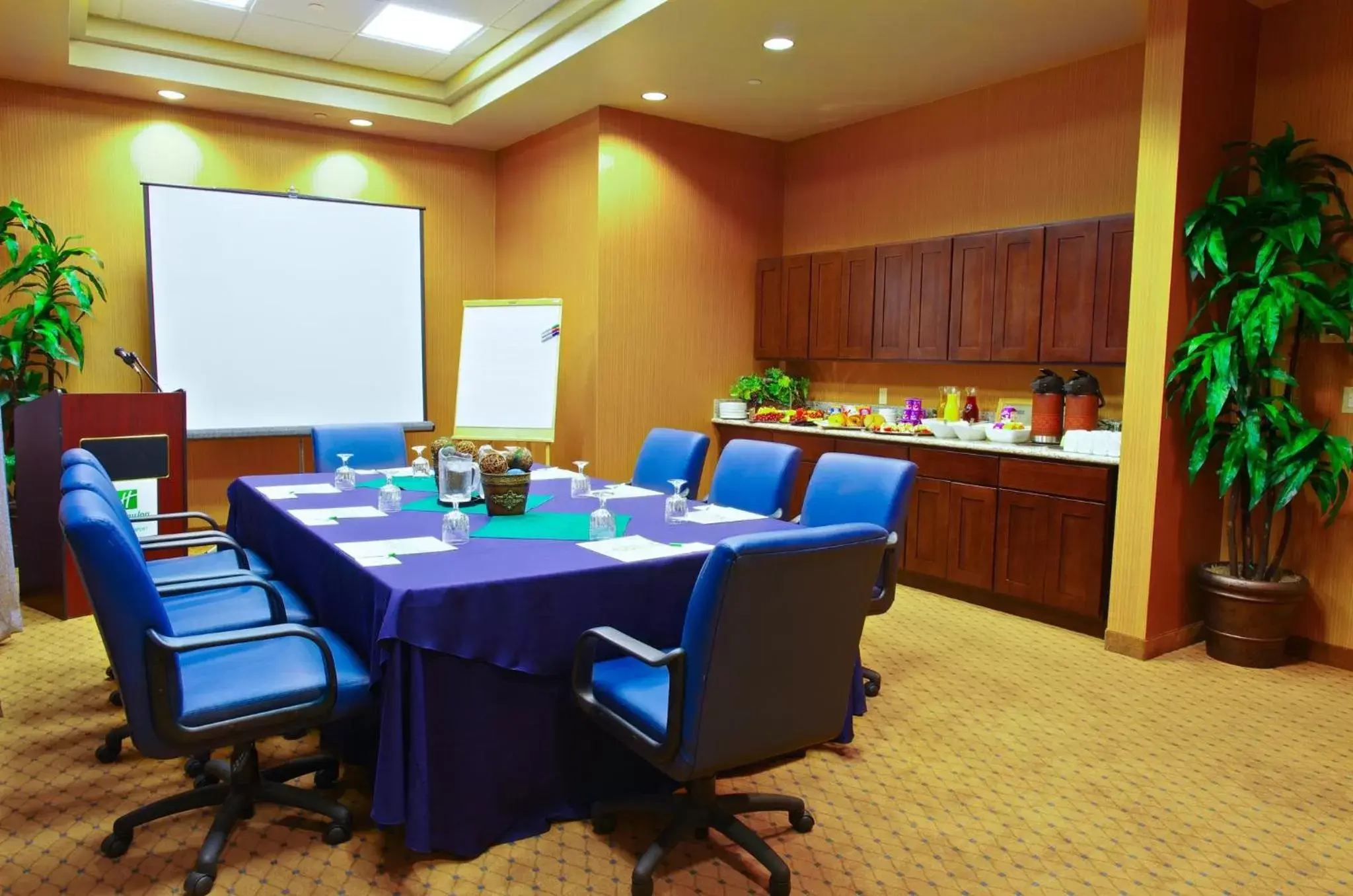 Meeting/conference room in Holiday Inn Phoenix Airport, an IHG Hotel