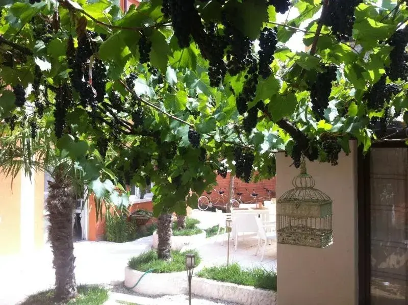 Garden in Hotel La Pergola di Venezia