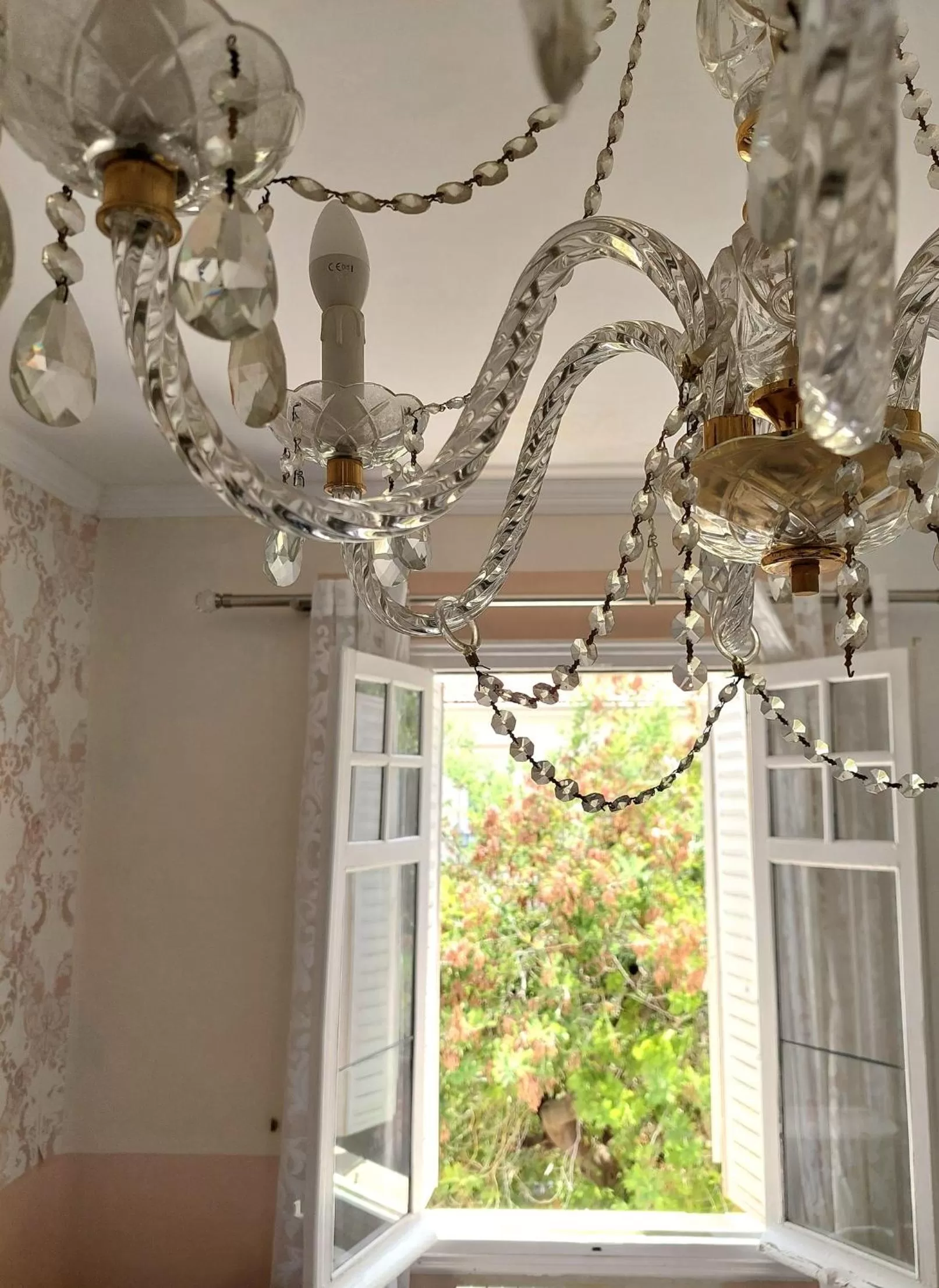 Day in N1 Casa de Madrid - greenpeace line