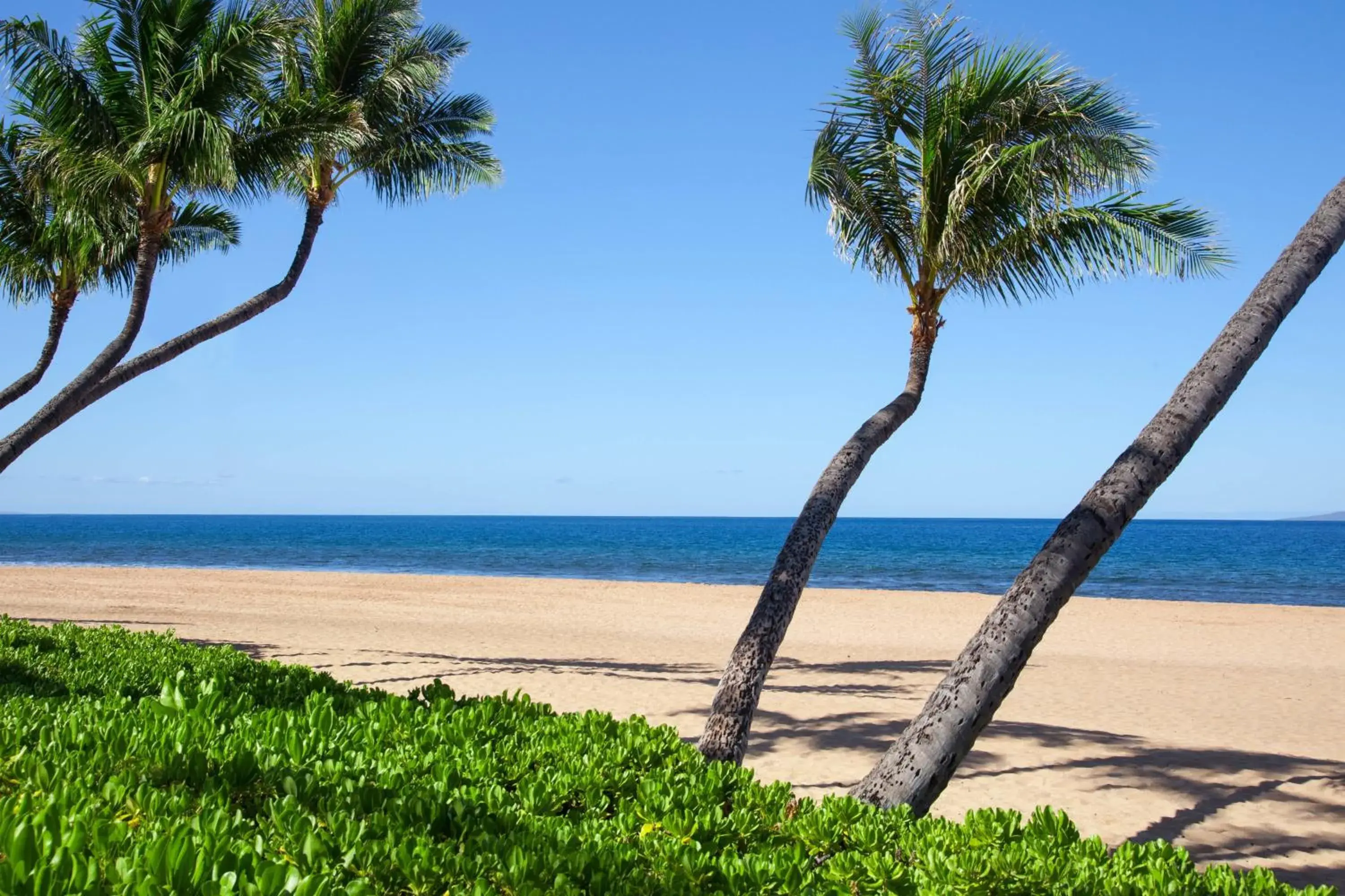 Beach in Marriott's Maui Ocean Club  - Lahaina & Napili Towers