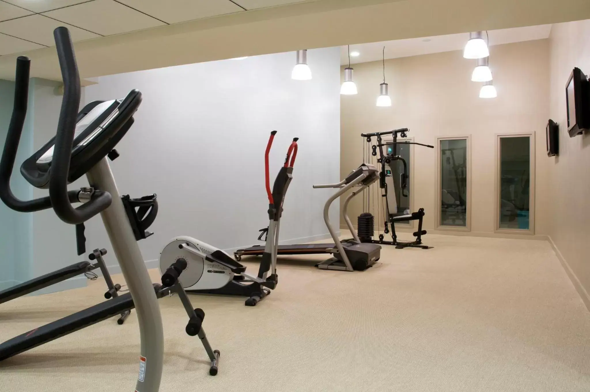 Fitness centre/facilities, Fitness Center/Facilities in Holiday Inn Mulhouse, an IHG Hotel