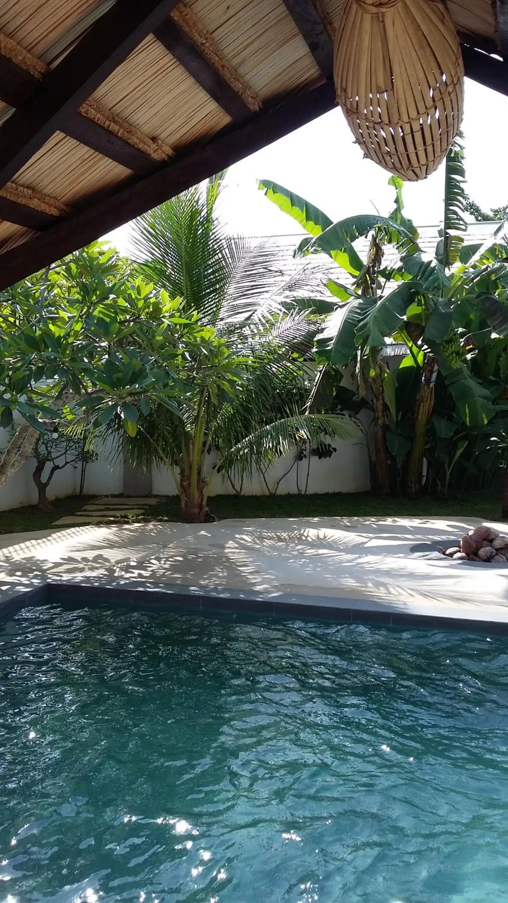 Swimming Pool in Villa Kalachuchi V.K