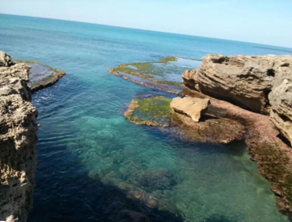 Activities in Danielle boutique suite