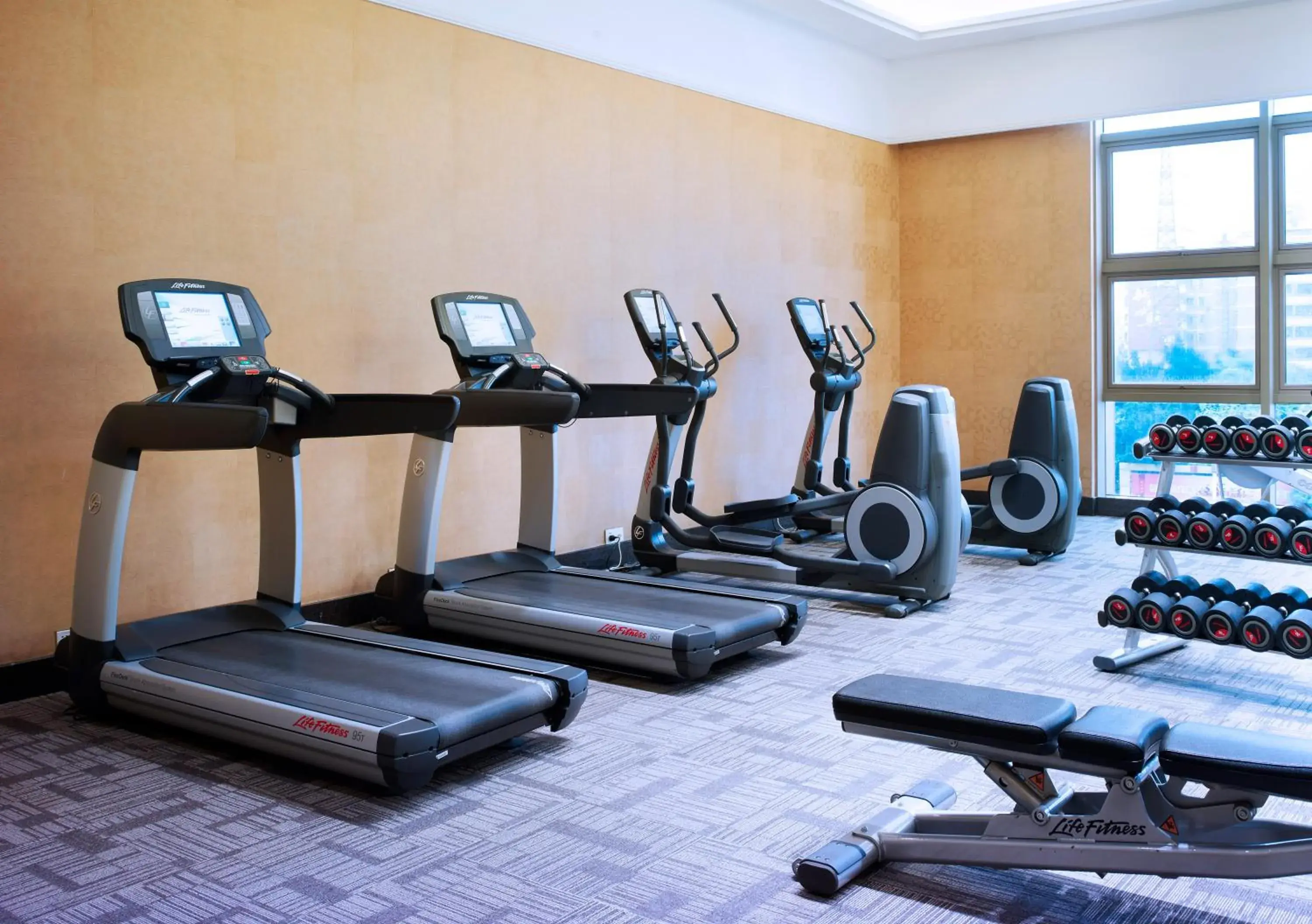 Fitness centre/facilities, Fitness Center/Facilities in Cinese Hotel Dongguan Shijie