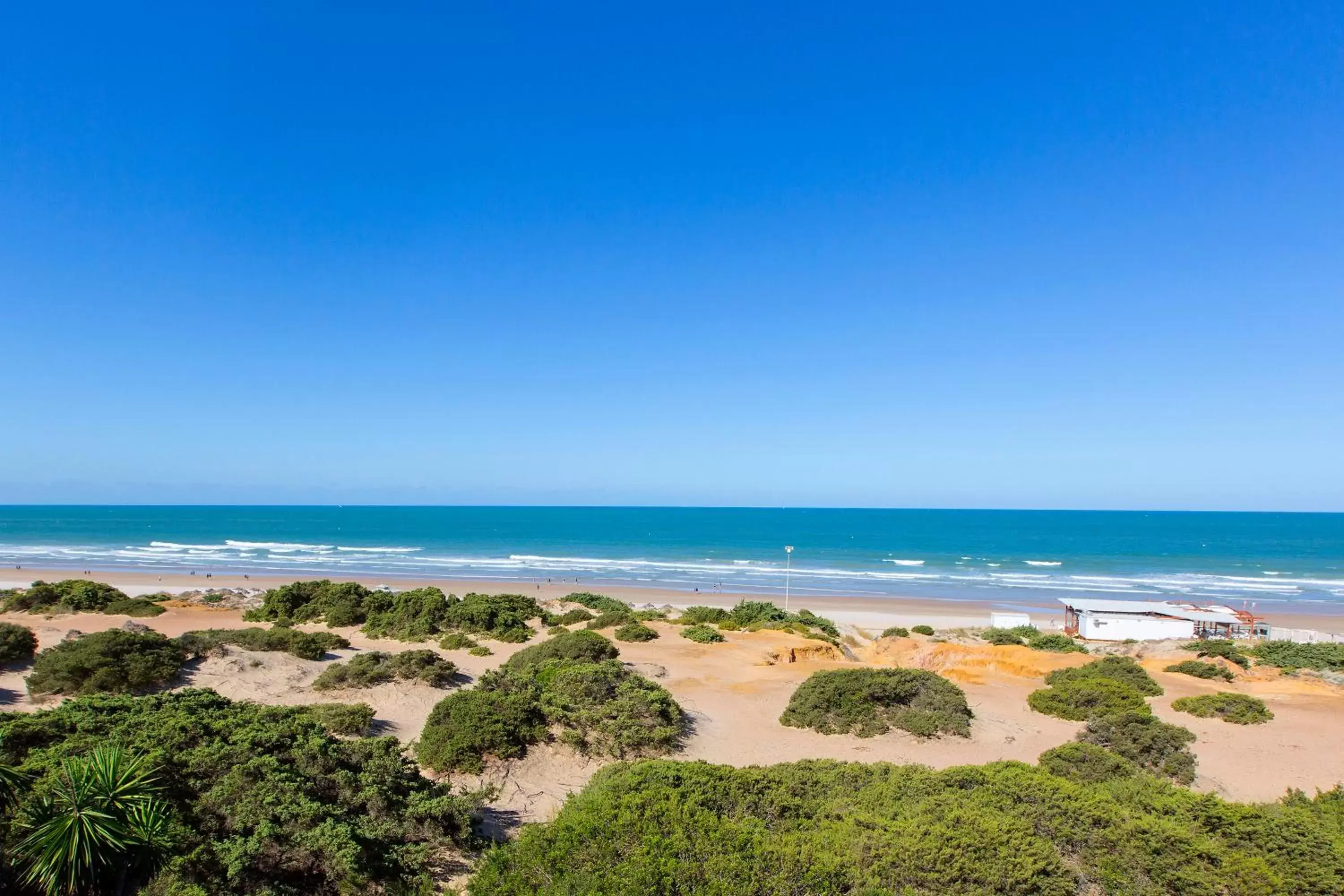 Beach in Hipotels Playa La Barrosa - Adults Only