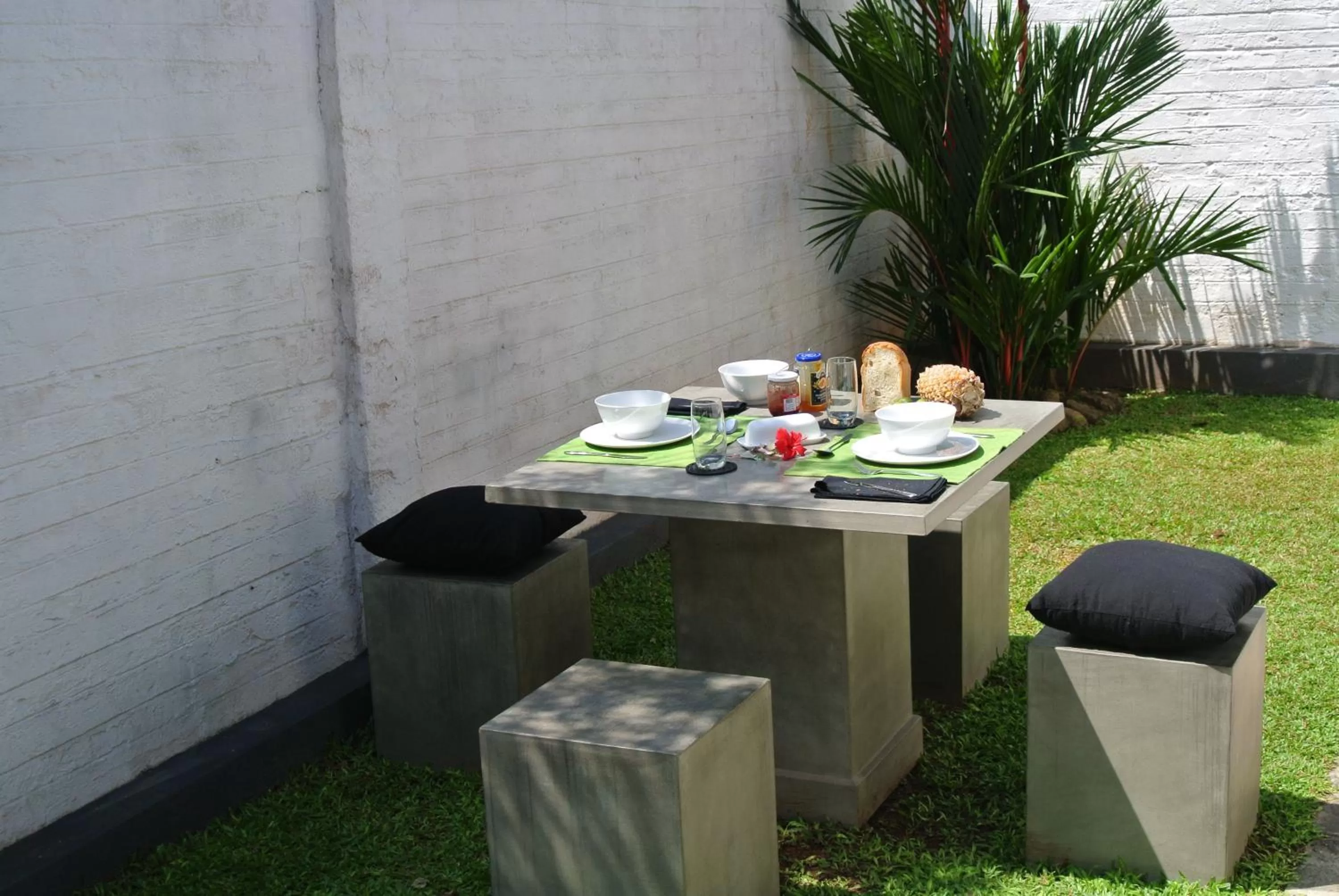 Garden in "27" Spathodea- Oasis in the City