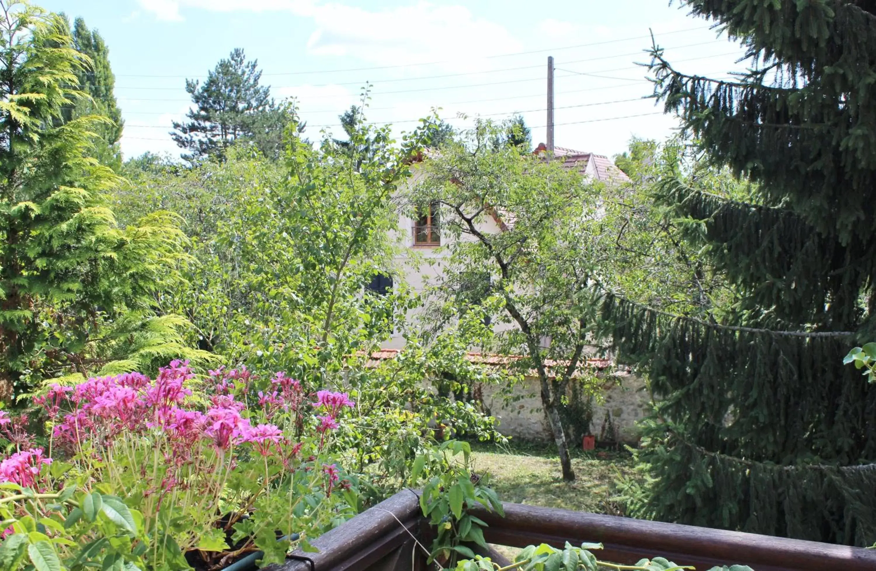 Garden view in Le Clos Fleuri