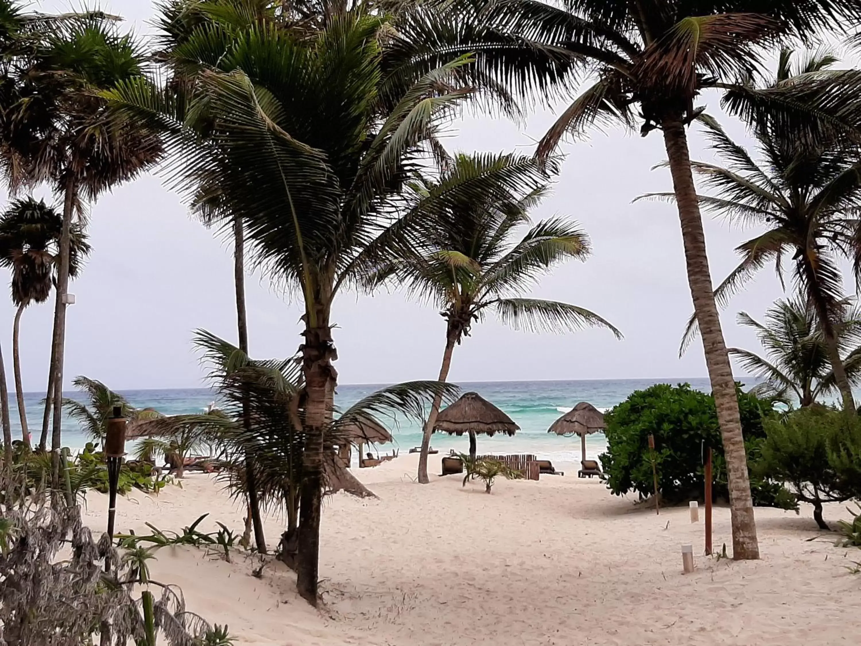 Beach in BT Live Tulum located at the party zone