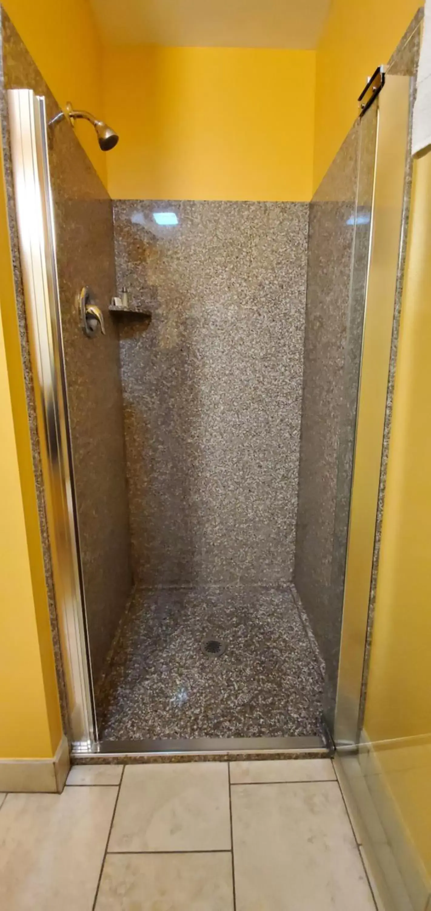 Shower, Bathroom in Olympic View Inn