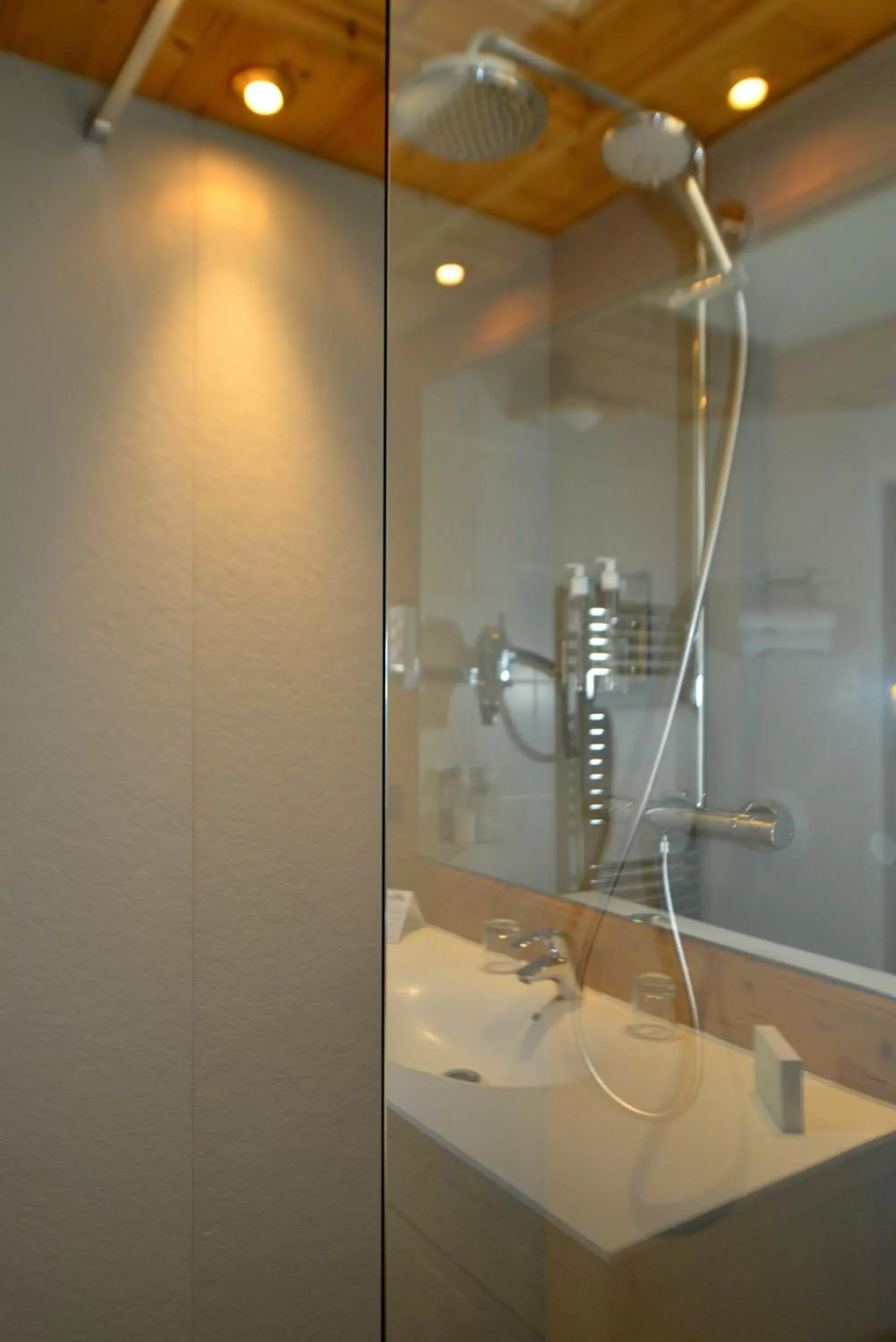 Shower, Bathroom in Hotel Tsanteleina