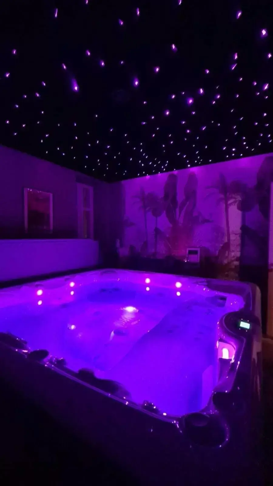 Hot Tub, Swimming Pool in Château de Neyran chambre d'hôtes & Spa