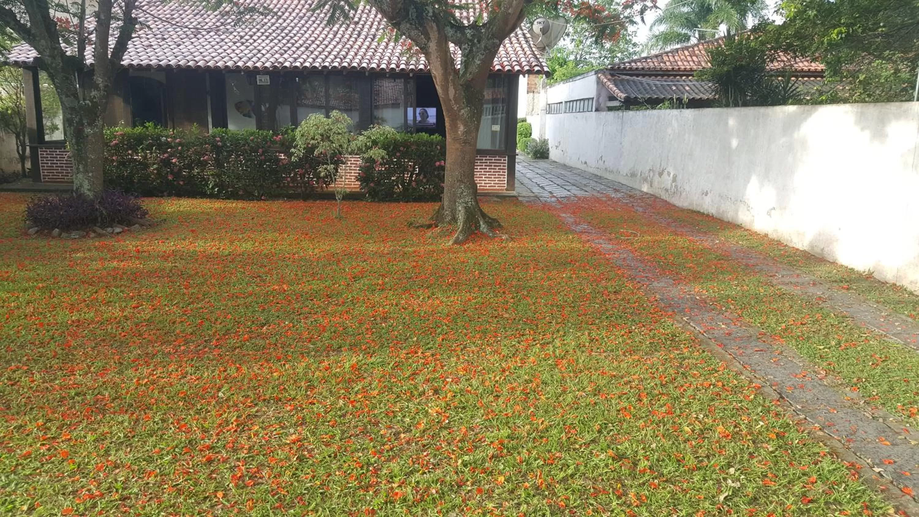 Garden in Pousada Solar Tropical