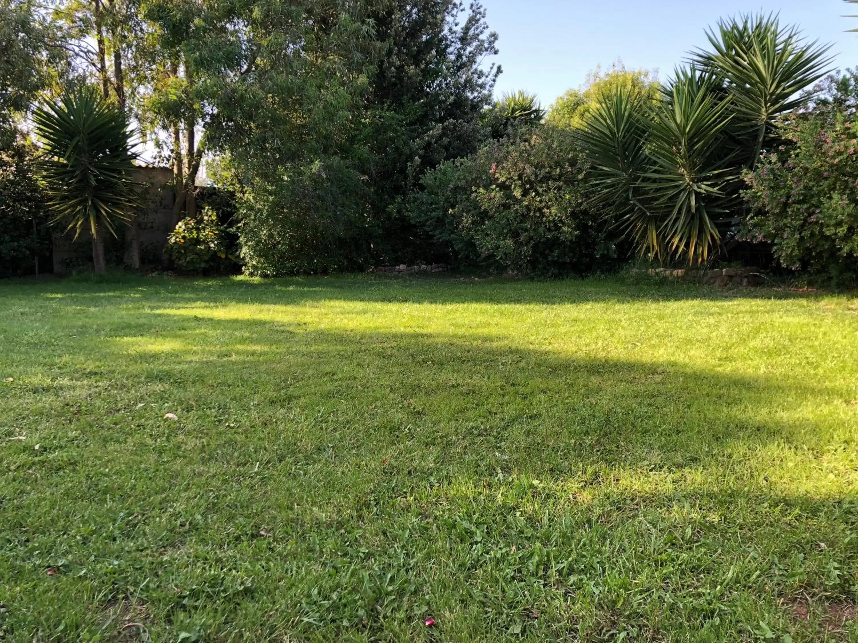 Garden in b&b le terre cotte