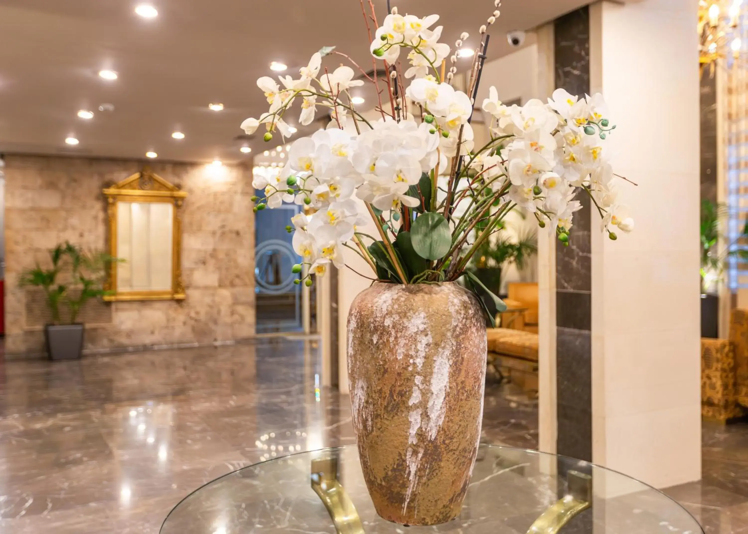 Lobby or reception in Ilisia Hotel Athens