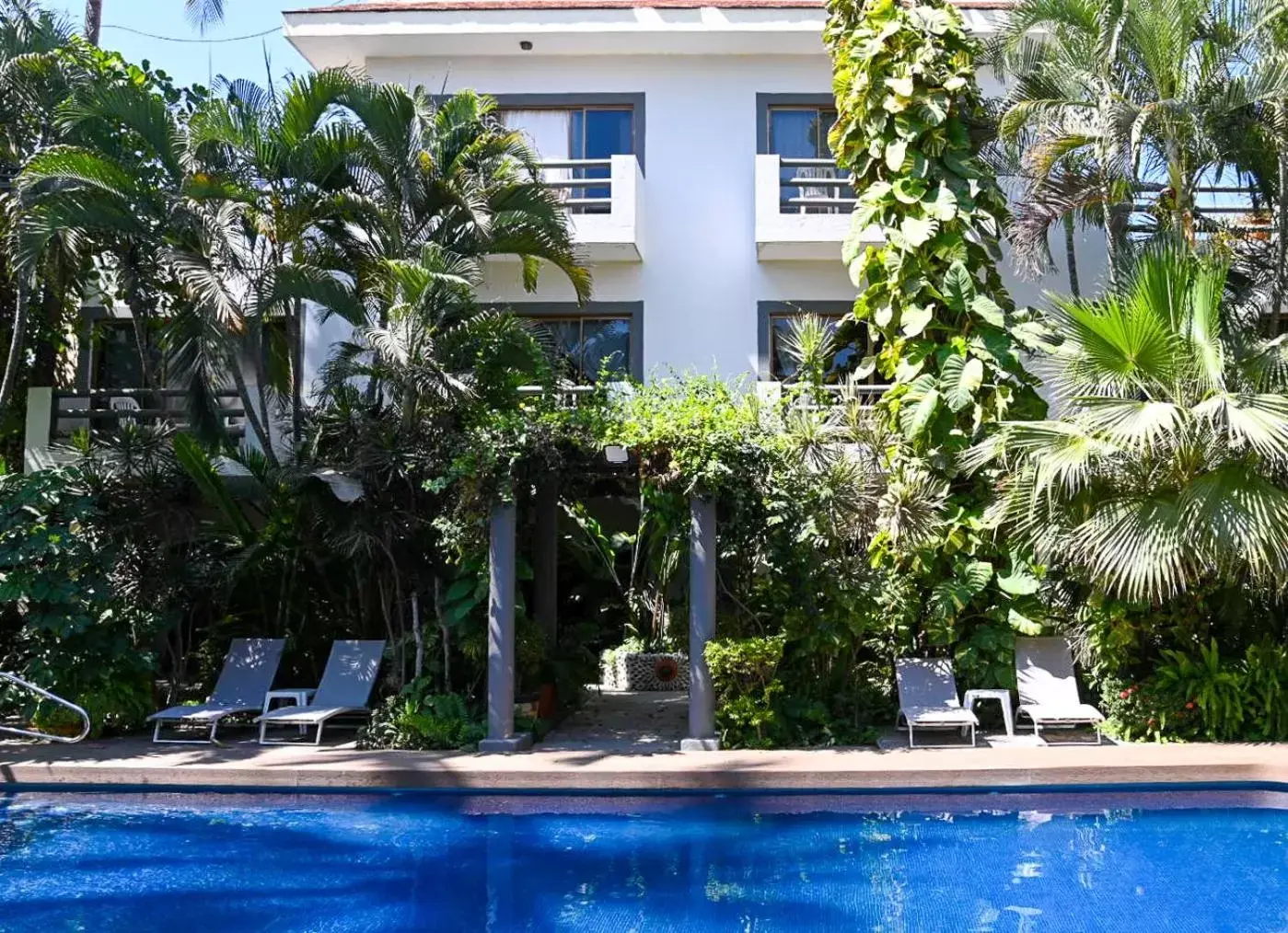 Property building, Swimming Pool in Hotel Palmeras