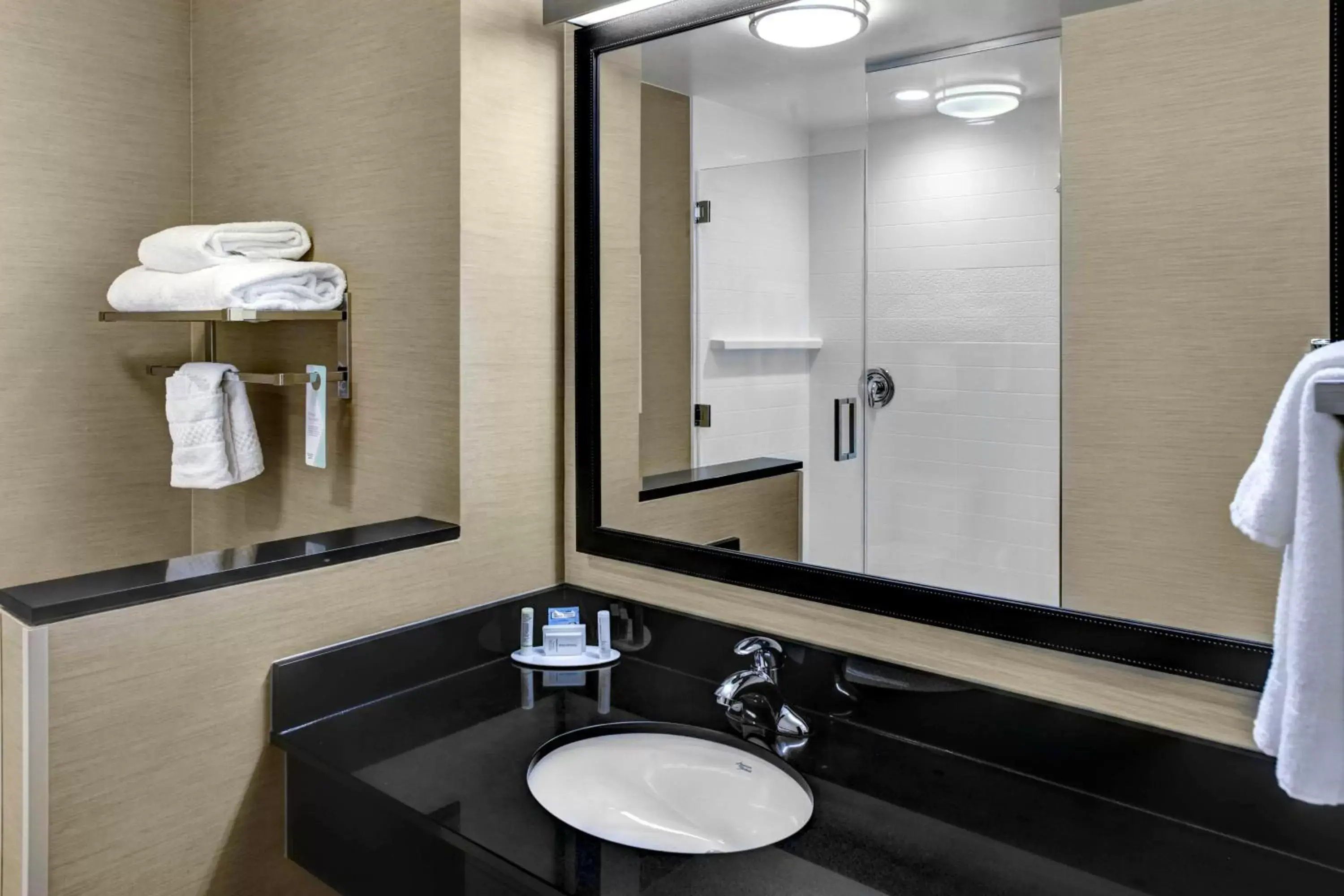 Bathroom in Fairfield Inn & Suites by Marriott Lansing at Eastwood