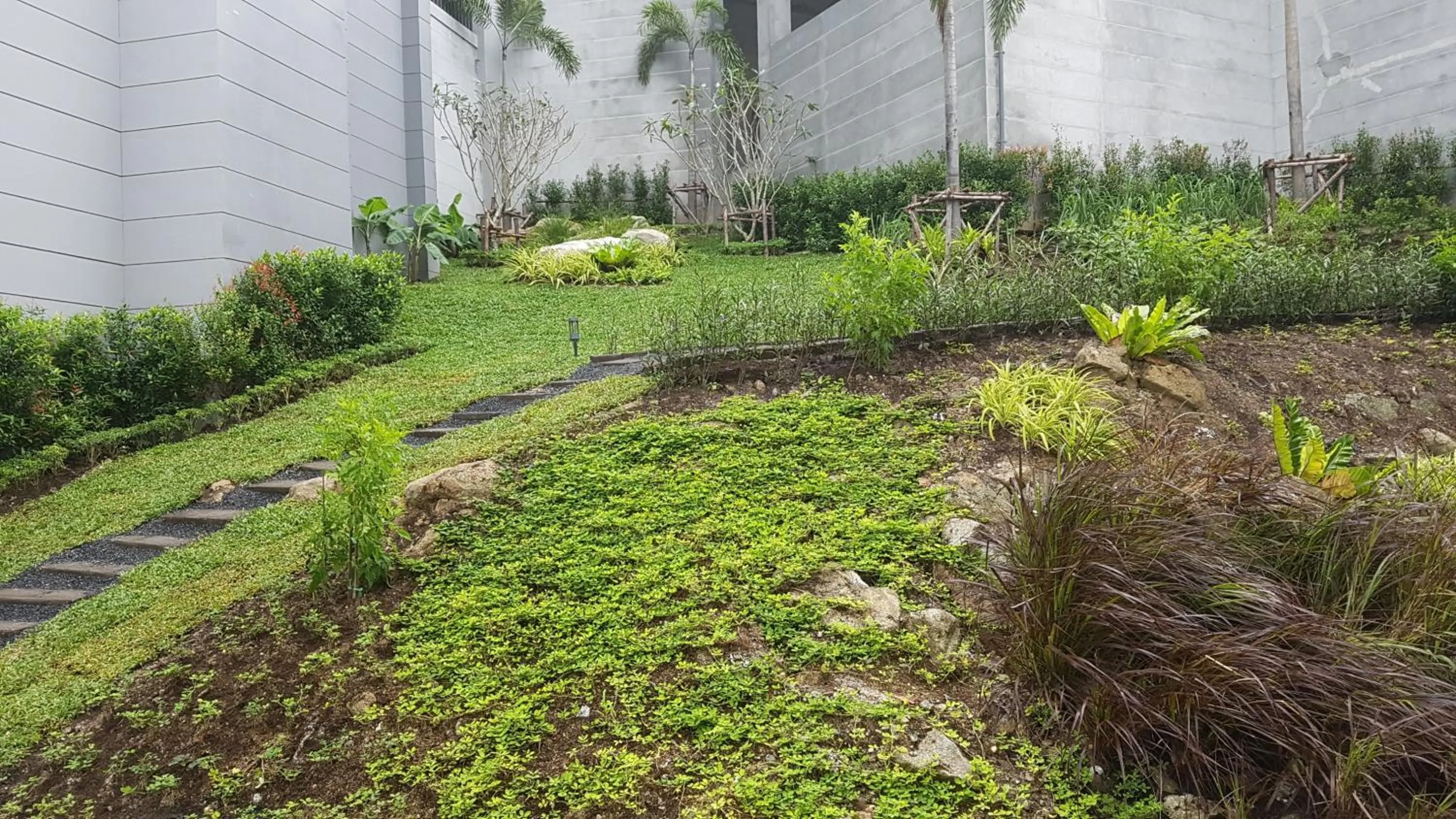 Garden in Lets Phuket Twin Sands Resort & Spa-SHA Extra Plus