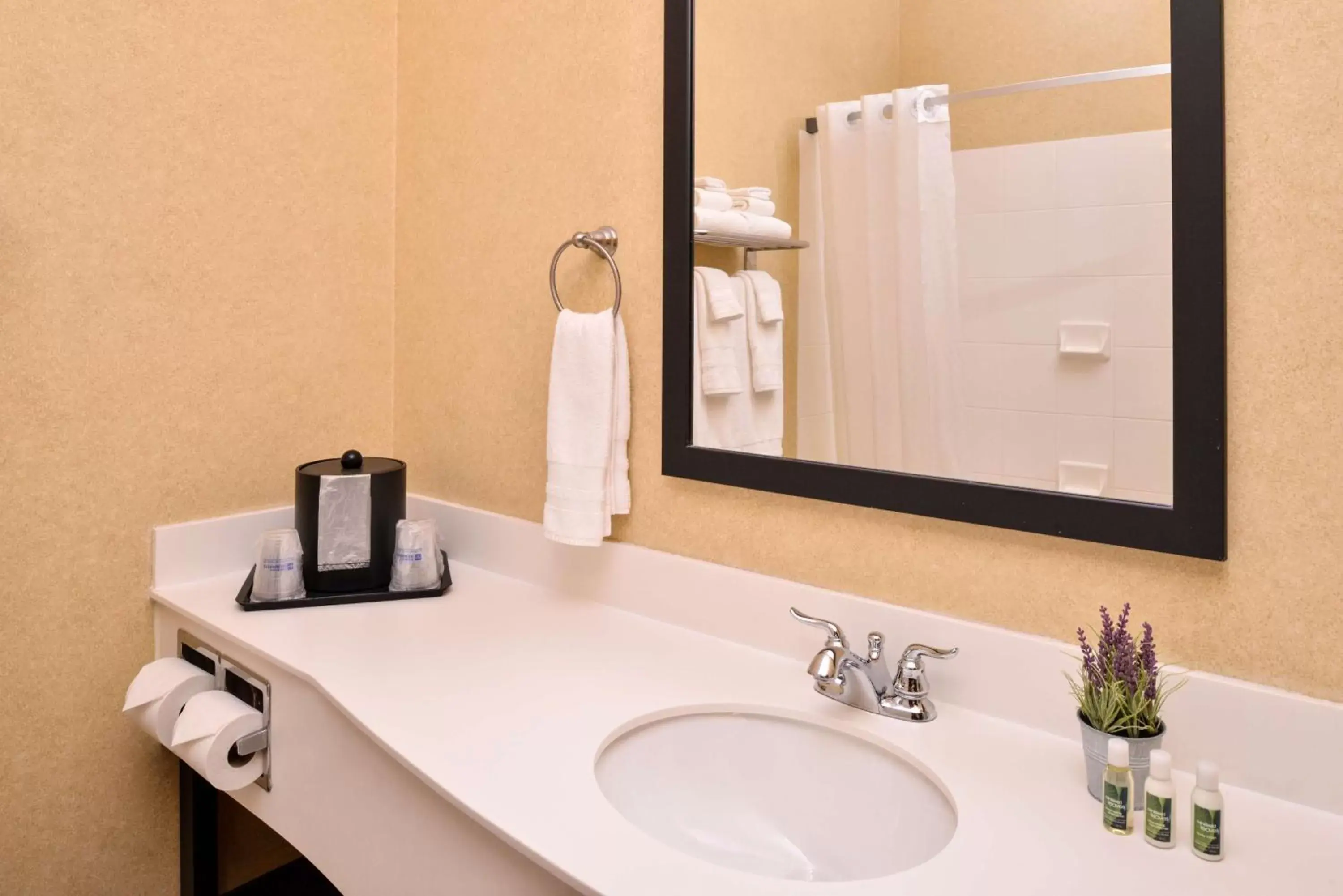 Bathroom in Best Western Plus Frontier Inn