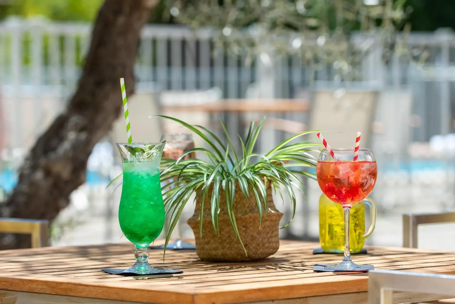 Patio, Drinks in Novotel Aix-en-Provence Beaumanoir