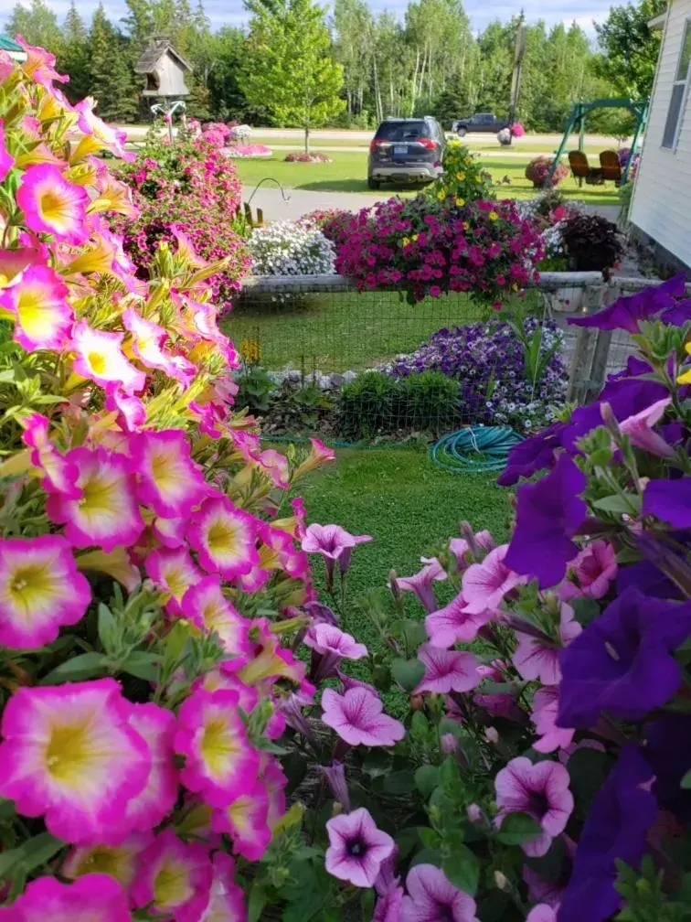 Garden in Sunset Motel of St. Ignace