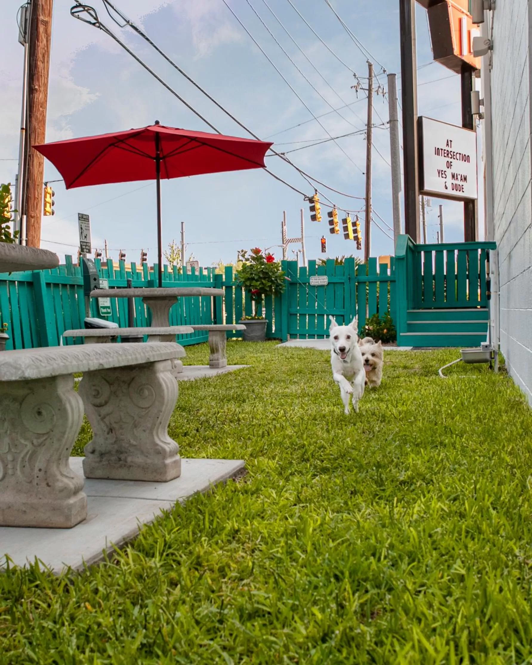 Patio in The Thunderbird Inn