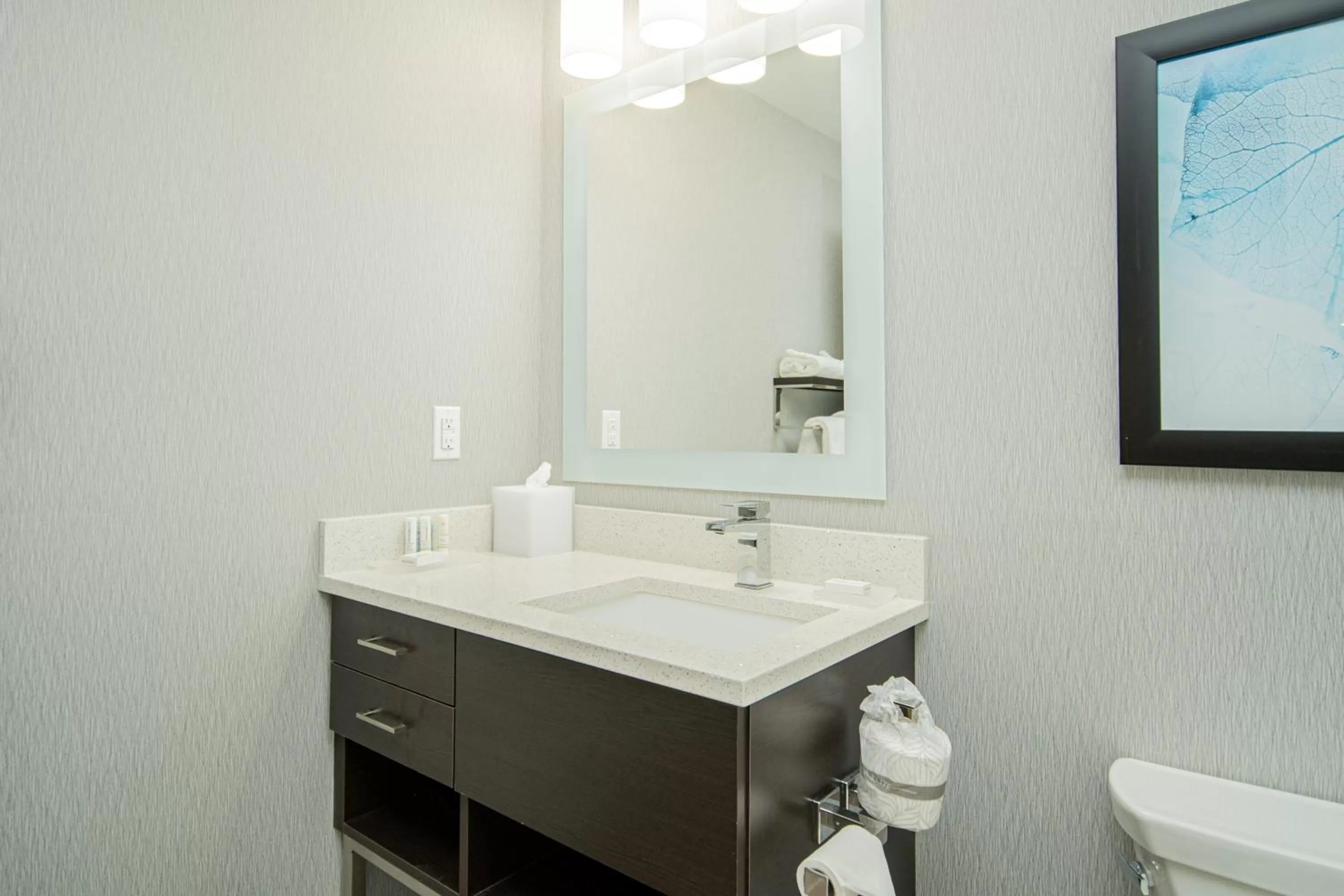 Bathroom in TownePlace Suites by Marriott Brantford and Conference Centre